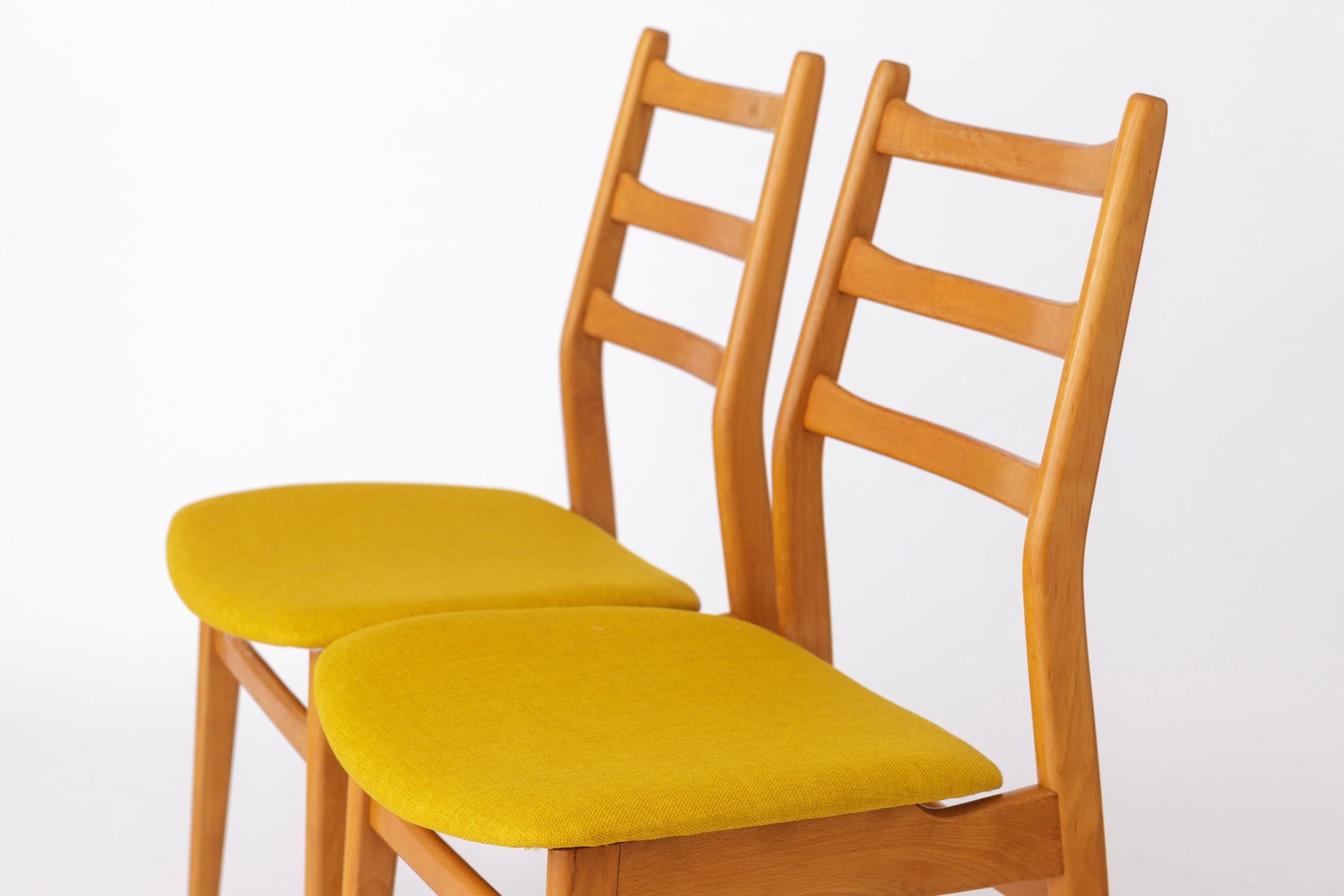 2 Vintage Chairs Casala, 1970s, Germany For Sale 1