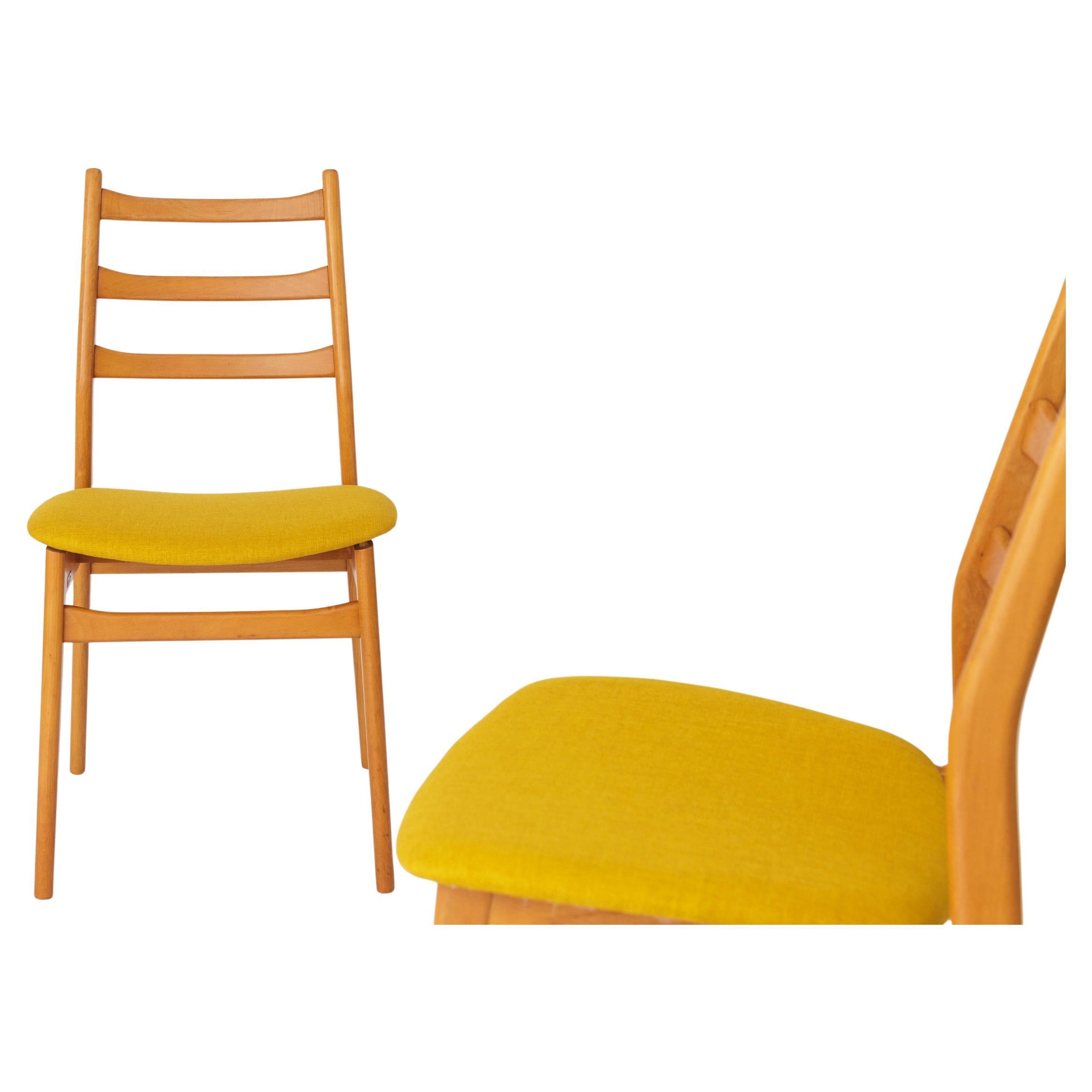 2 Vintage Chairs Casala, 1970s, Germany
