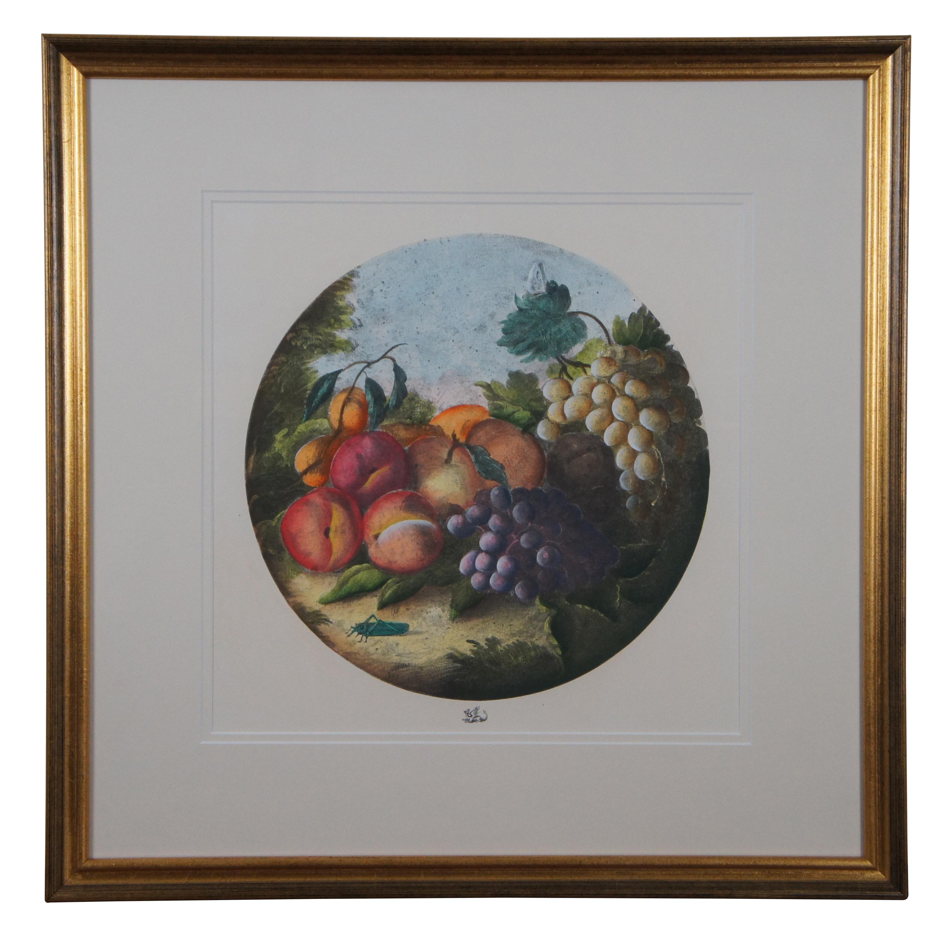 2 Vintage Circular Fruit Still Life Lithograph Prints w Dragon Mark In Good Condition For Sale In Dayton, OH
