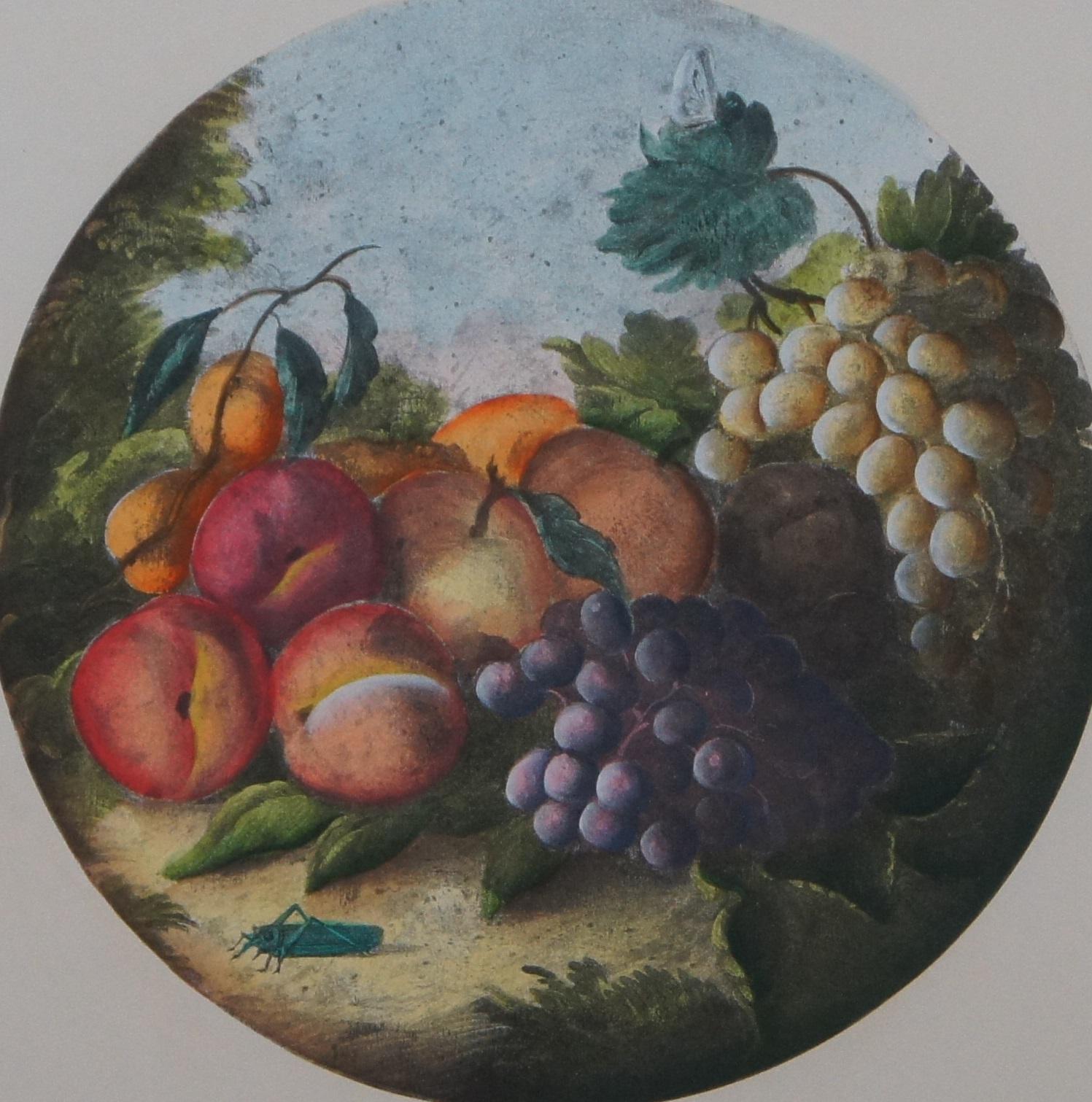 20th Century 2 Vintage Circular Fruit Still Life Lithograph Prints w Dragon Mark For Sale