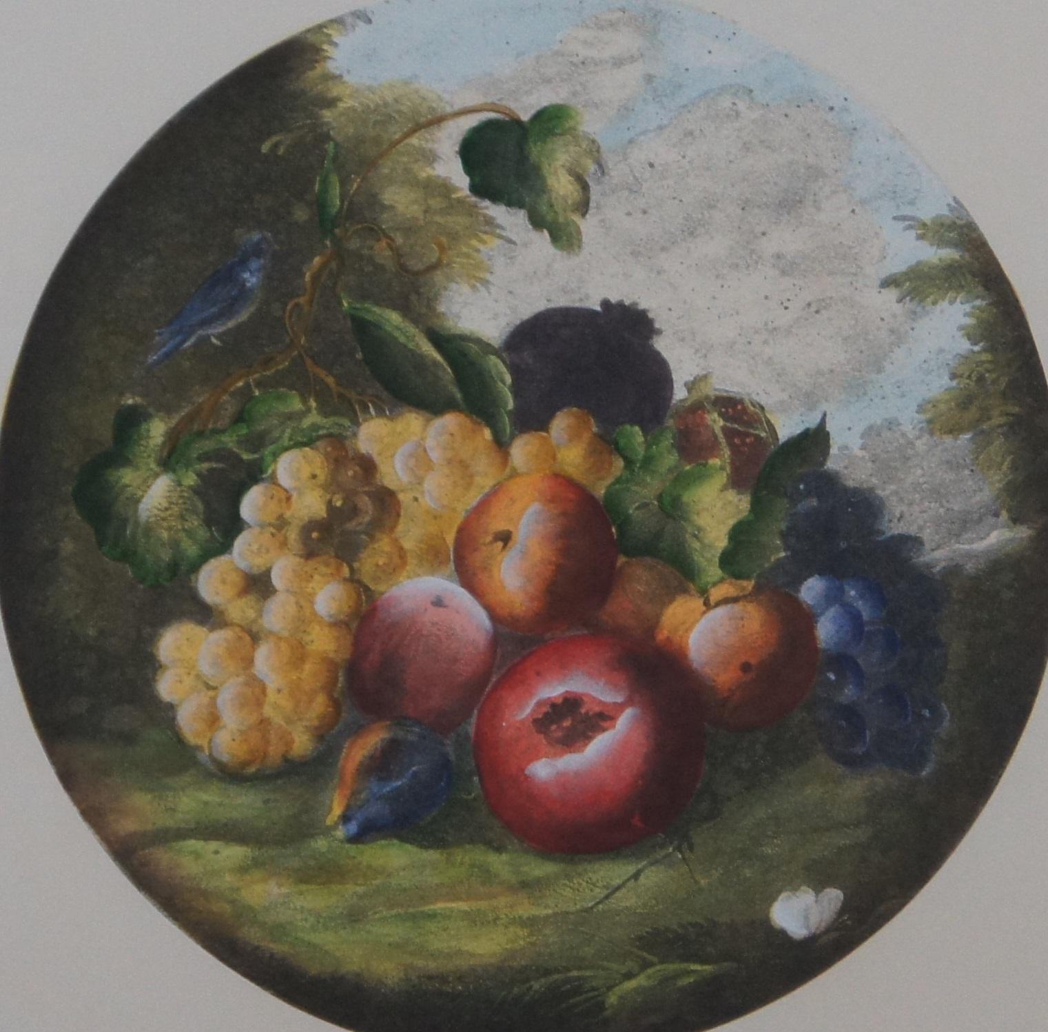 Paper 2 Vintage Circular Fruit Still Life Lithograph Prints w Dragon Mark For Sale