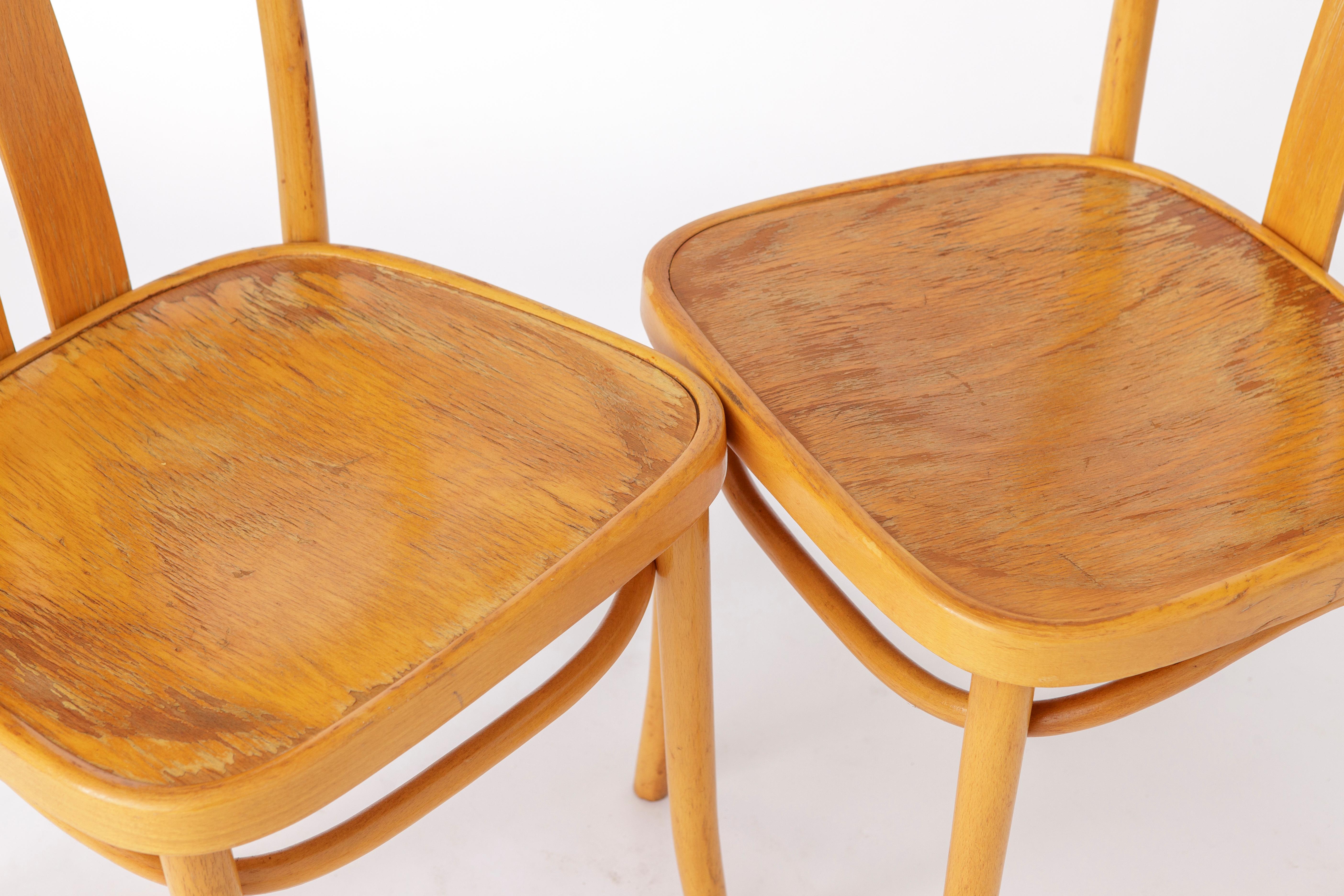 Late 20th Century 2 Vintage IKEA Chairs Lena by Radomsko 1970s Bentwood For Sale