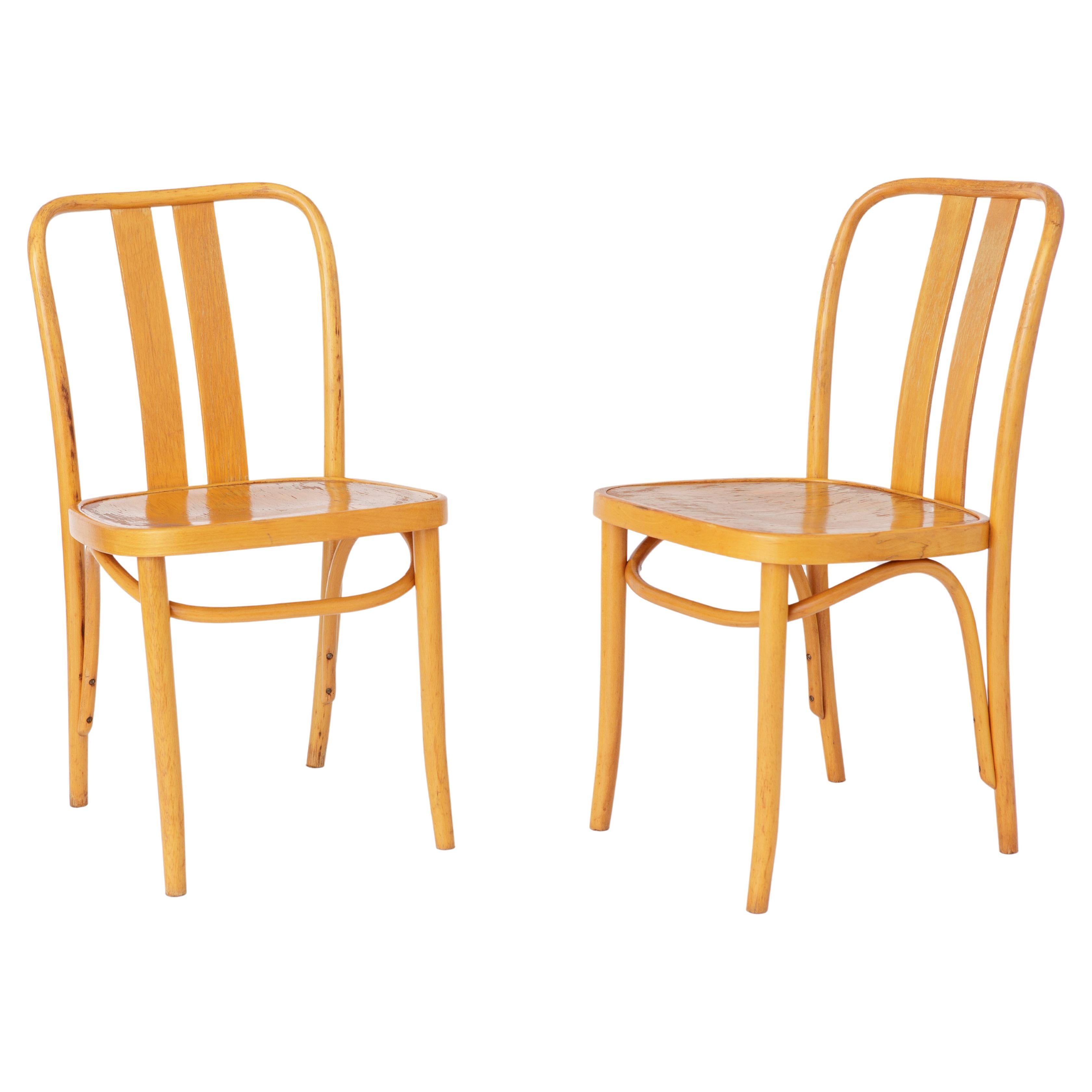 2 chaises IKEA vintage Lena par Radomsko, années 1970, bois cintré