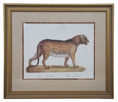2 Vintage Karl Joseph Brodtmann Leopard Panther Lion Big Cat Lithographs