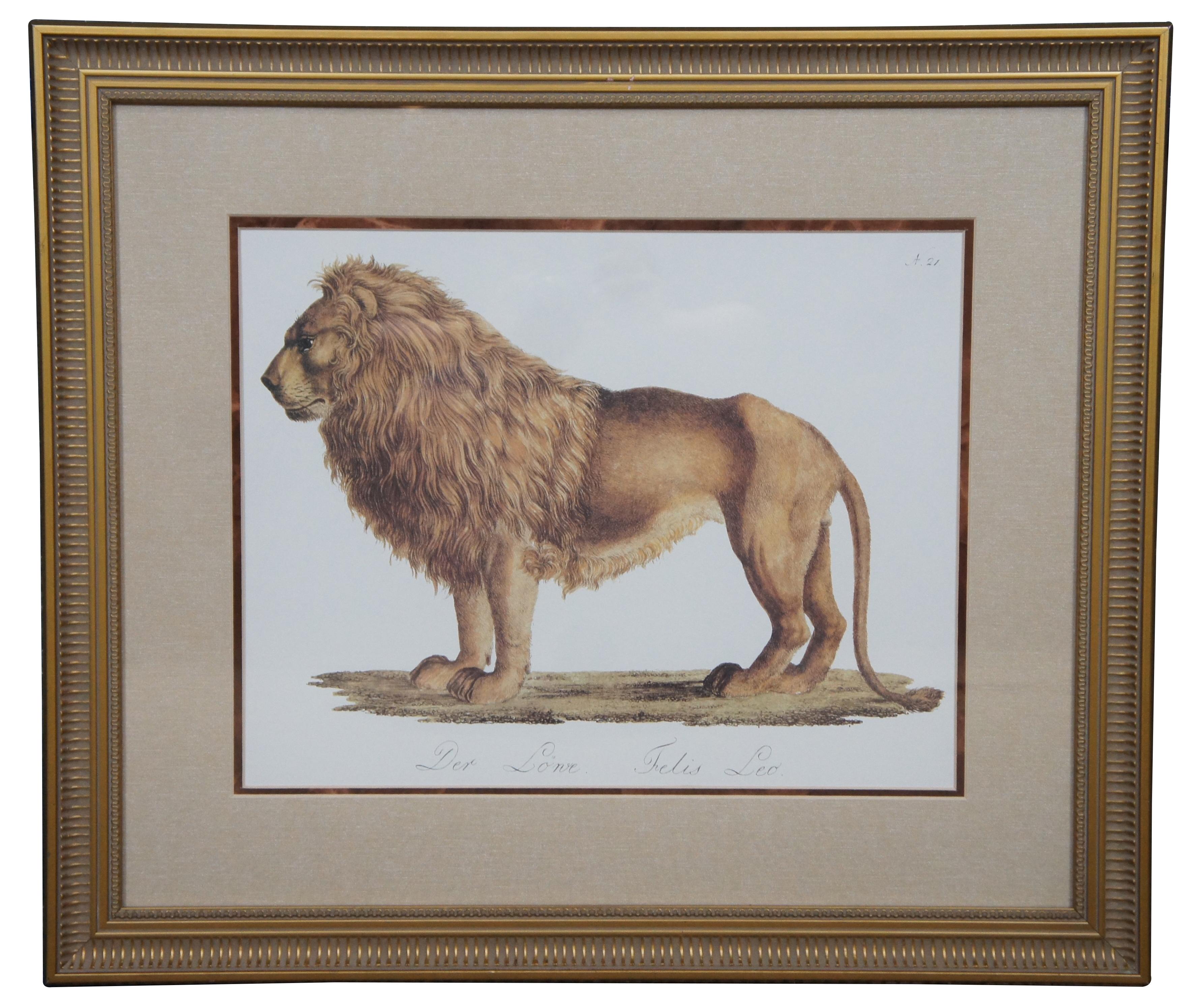 Early Victorian 2 Vintage Karl Joseph Brodtmann Leopard Panther Lion Big Cat Lithographs