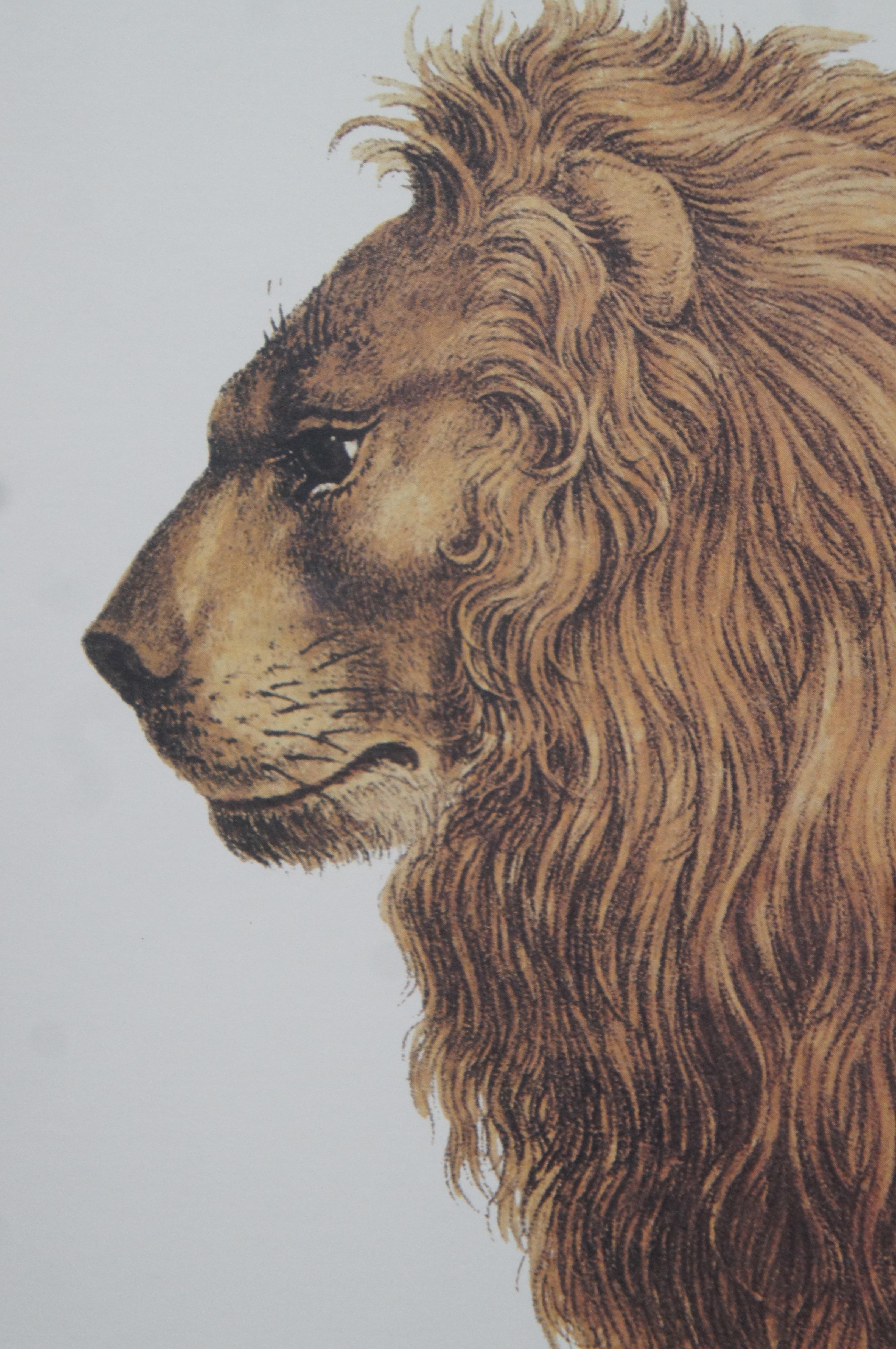 2 Vintage Karl Joseph Brodtmann Leopard Panther Lion Big Cat Lithographs 3