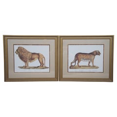 2 Vintage Karl Joseph Brodtmann Leopard Panther Lion Big Cat Lithographs