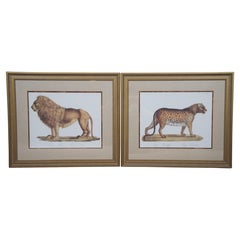 2 Vintage Karl Joseph Brodtmann Leoparden-Panther-Löwen-Lithographien, Große Katze, 25"