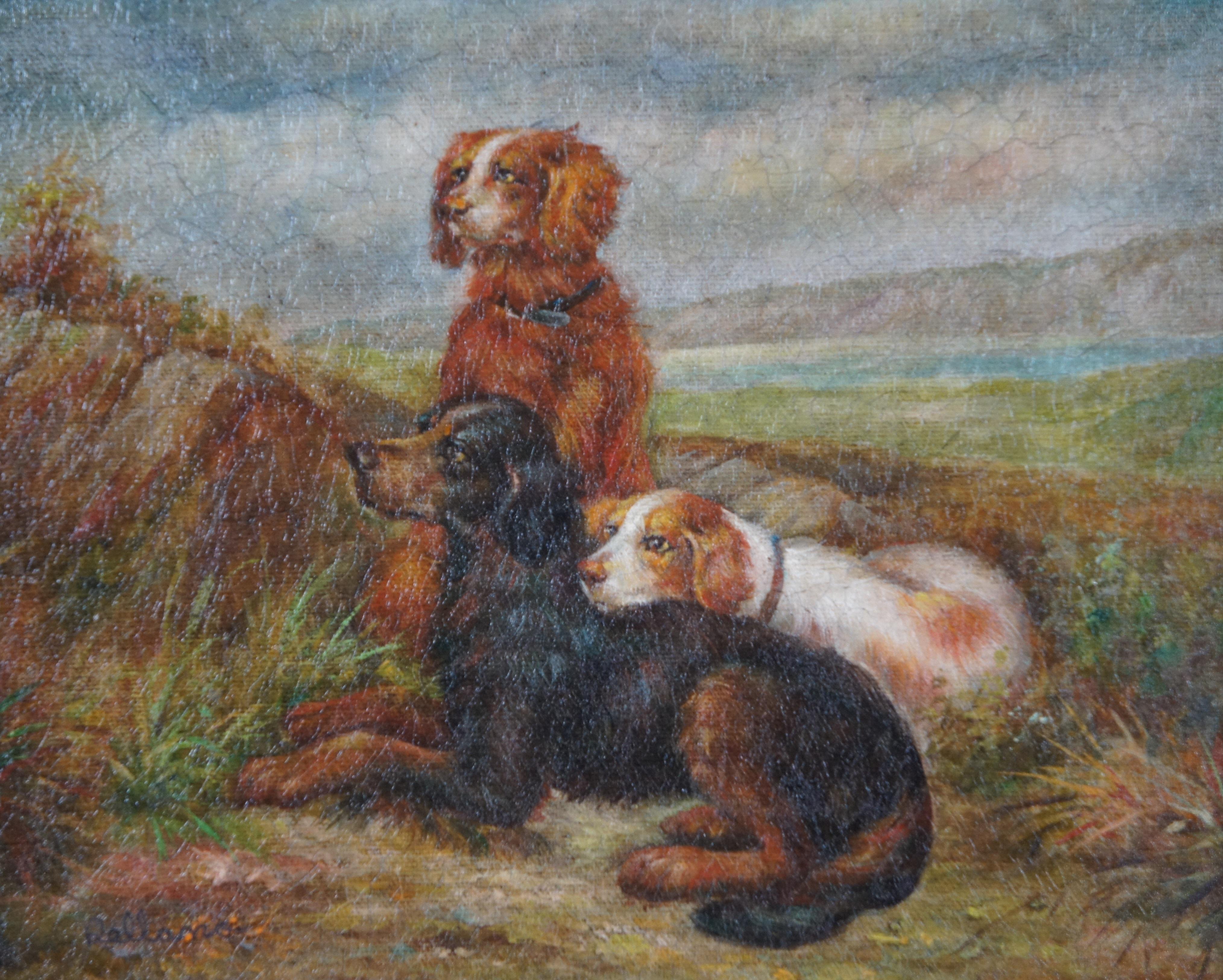 20th Century 2 Vintage Spaniel Dog Portrait Oil Paintings on Canvas Gold Frames 20