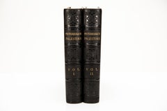 2 vol. Colonnello Wilson, Palestina pittoresca, Sinai ed Egitto.