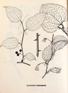 2 Volume Set: Book of Trees and Book of Shrubs, by William Carey Grimm, 1st Ed