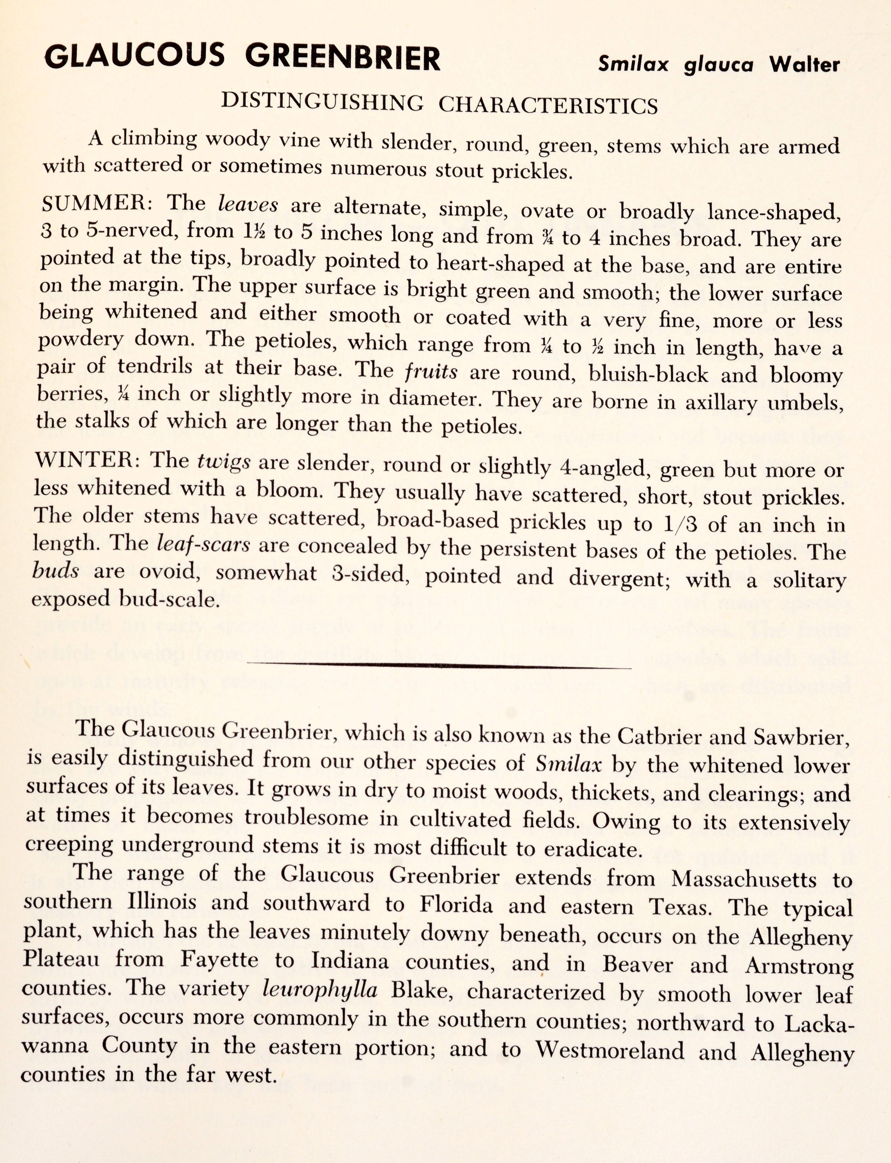 2 Bände, Set: Buch der Bäume und Buch der Sträucher, von William Carey Grimm, 1. Auflage (amerikanisch) im Angebot