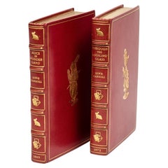 2 volumi. Lewis Carroll, Alice nel paese delle meraviglie e Attraverso lo specchio.
