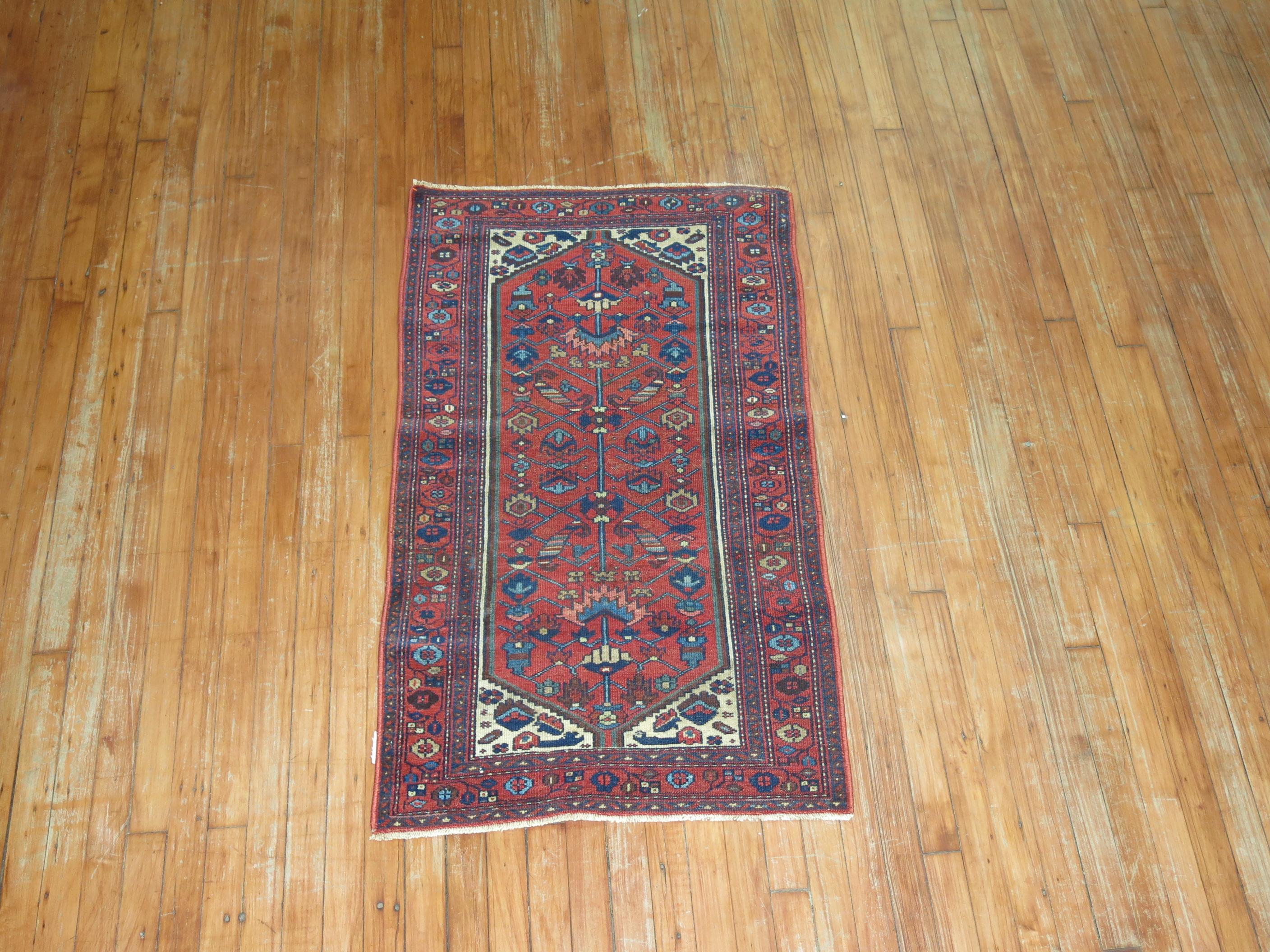 One of a kind Persian Hamedan Malayer rug from the 20th century in dominant red and blue tones.

Measures: 2'4” x 4'2”.