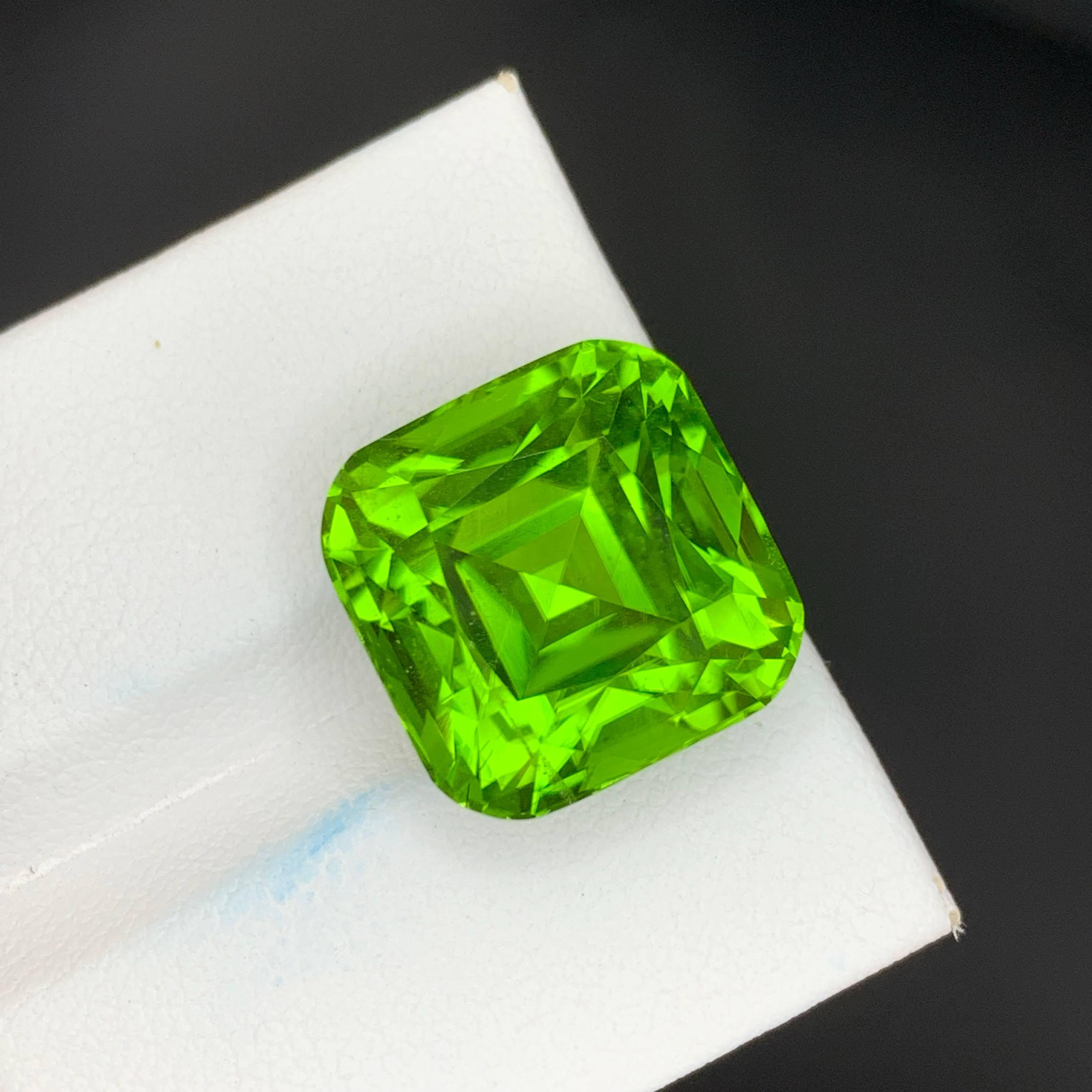 20 Karat Natürlicher Loser Apfel Grüner Peridot Stein Cushion Schliff Pakistanischer Edelstein im Angebot 4