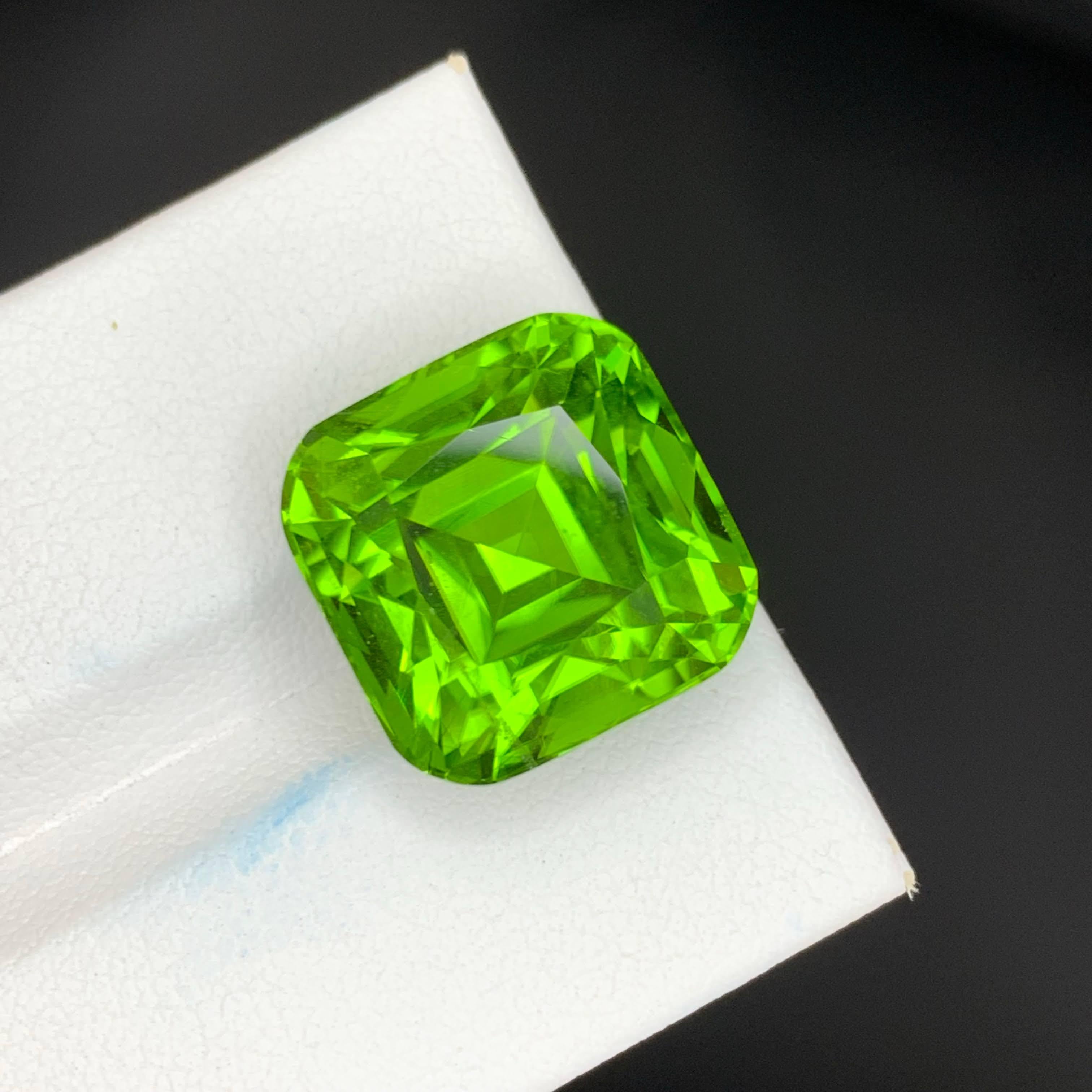 20 Karat Natürlicher Loser Apfel Grüner Peridot Stein Cushion Schliff Pakistanischer Edelstein im Angebot 5