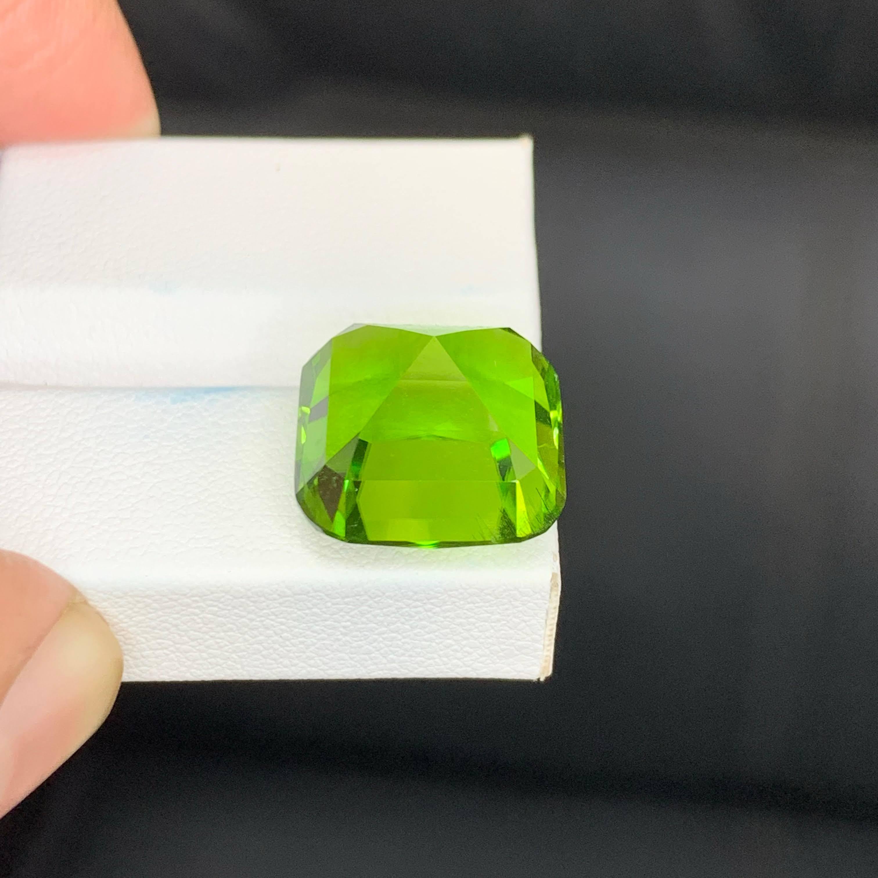 20 Karat Natürlicher Loser Apfel Grüner Peridot Stein Cushion Schliff Pakistanischer Edelstein im Angebot 6
