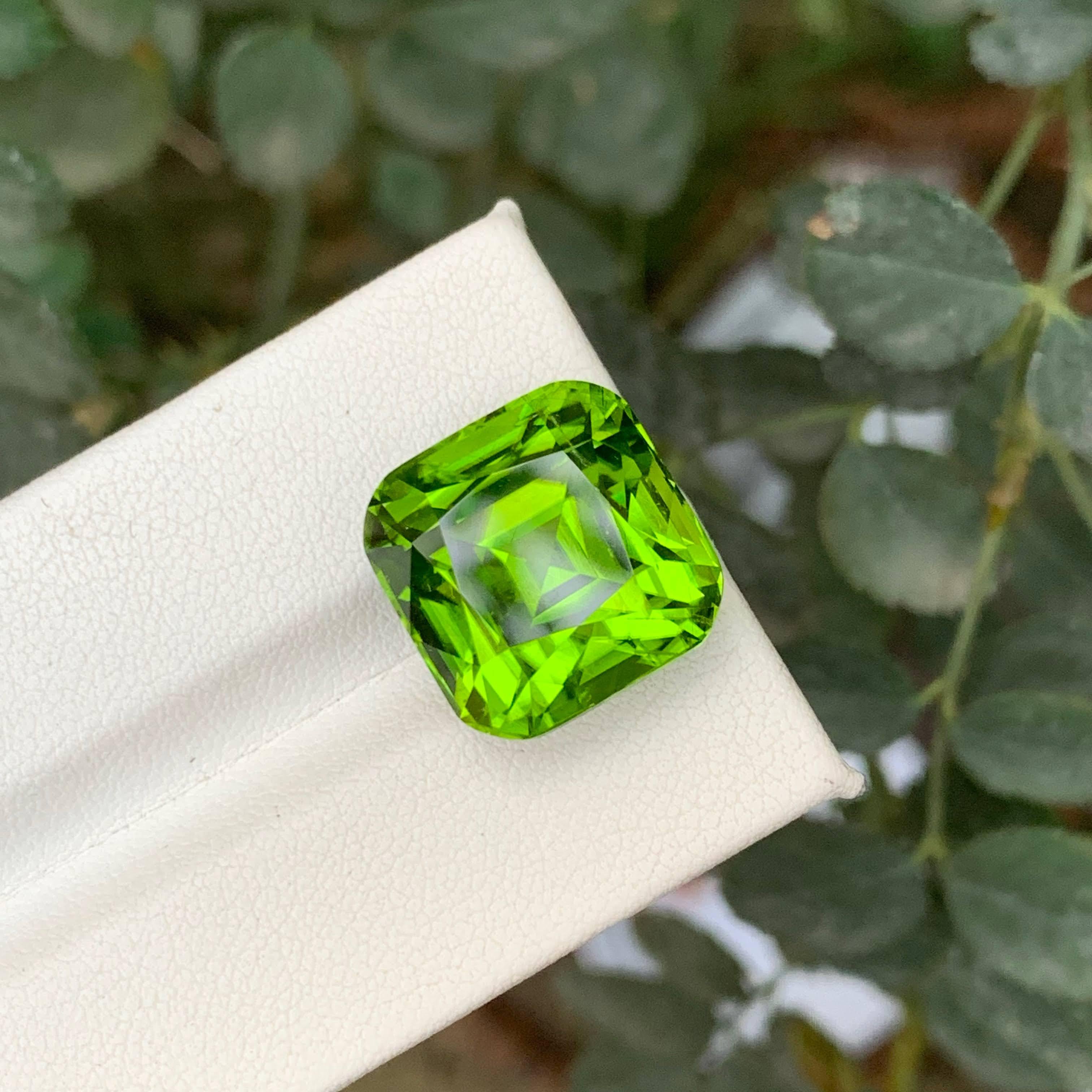 20 Karat Natürlicher Loser Apfel Grüner Peridot Stein Cushion Schliff Pakistanischer Edelstein (Moderne) im Angebot