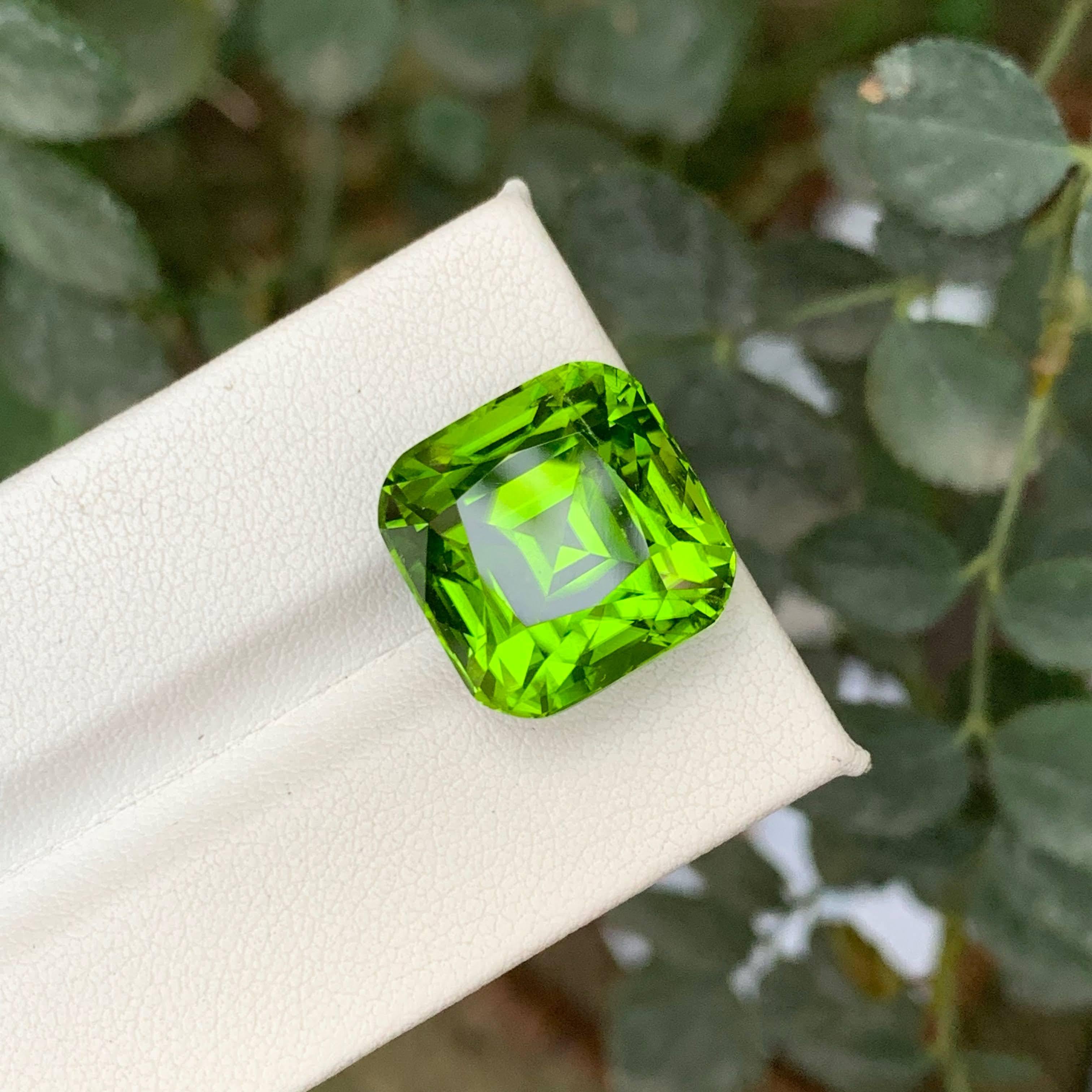 20 Karat Natürlicher Loser Apfel Grüner Peridot Stein Cushion Schliff Pakistanischer Edelstein (Kissenschliff) im Angebot