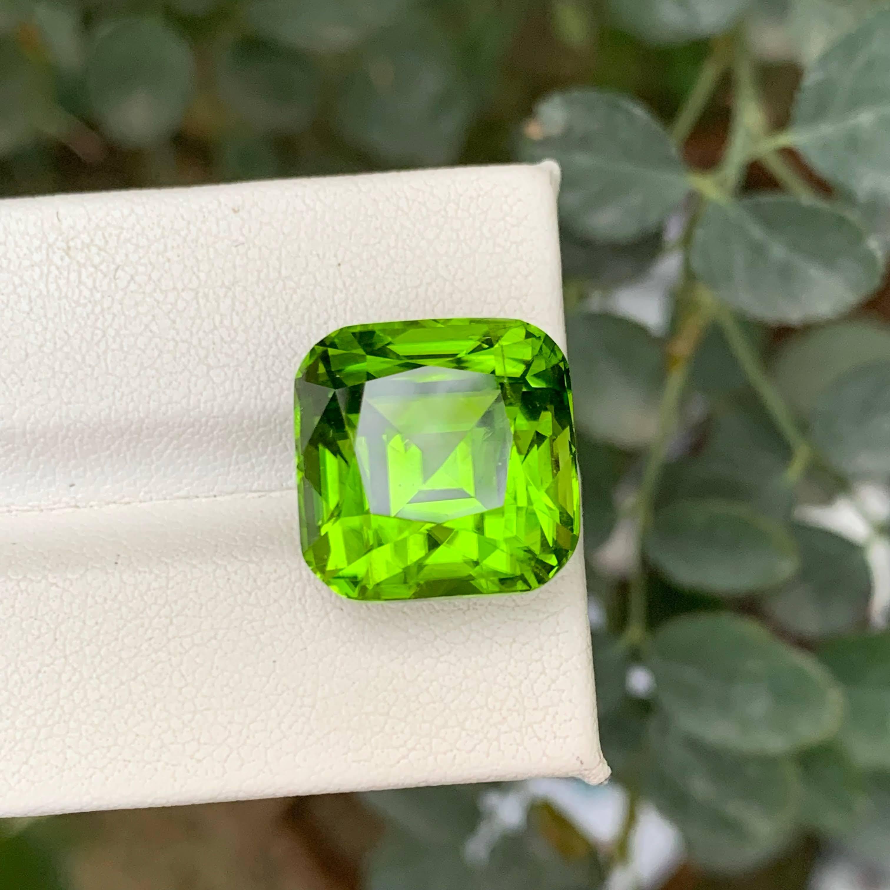 20 Karat Natürlicher Loser Apfel Grüner Peridot Stein Cushion Schliff Pakistanischer Edelstein im Zustand „Neu“ im Angebot in Bangkok, TH