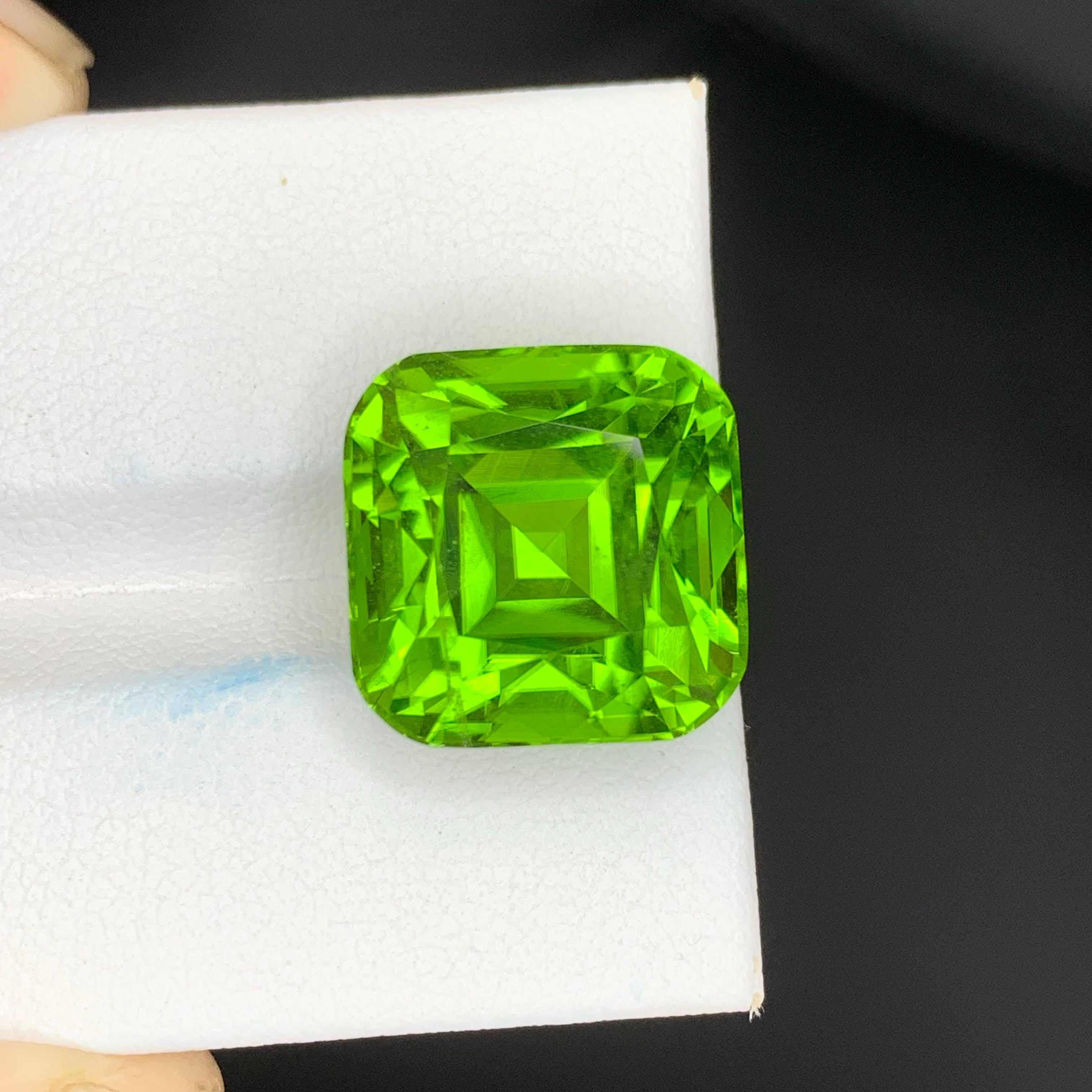 20 Karat Natürlicher Loser Apfel Grüner Peridot Stein Cushion Schliff Pakistanischer Edelstein für Damen oder Herren im Angebot