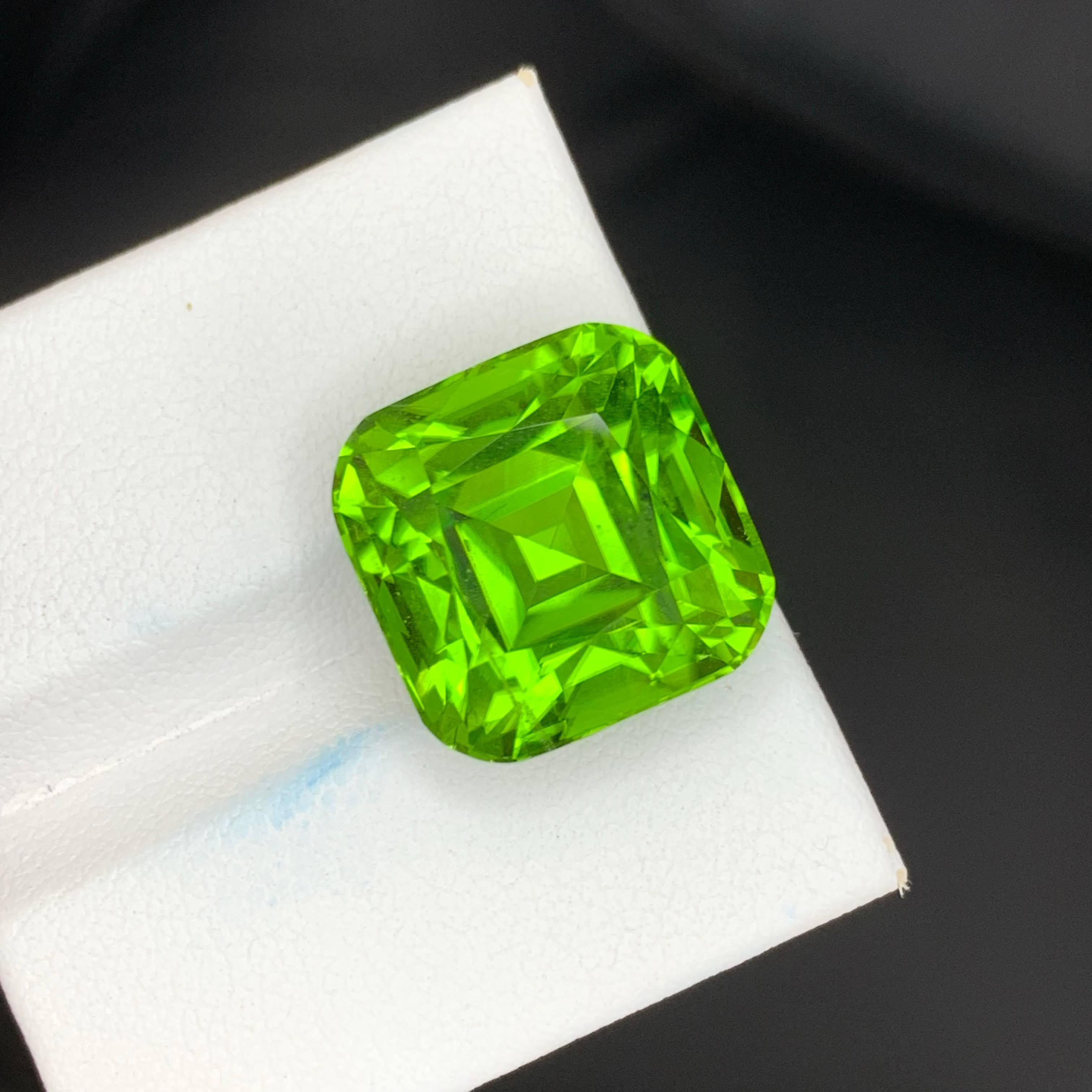 20 Karat Natürlicher Loser Apfel Grüner Peridot Stein Cushion Schliff Pakistanischer Edelstein im Angebot 2