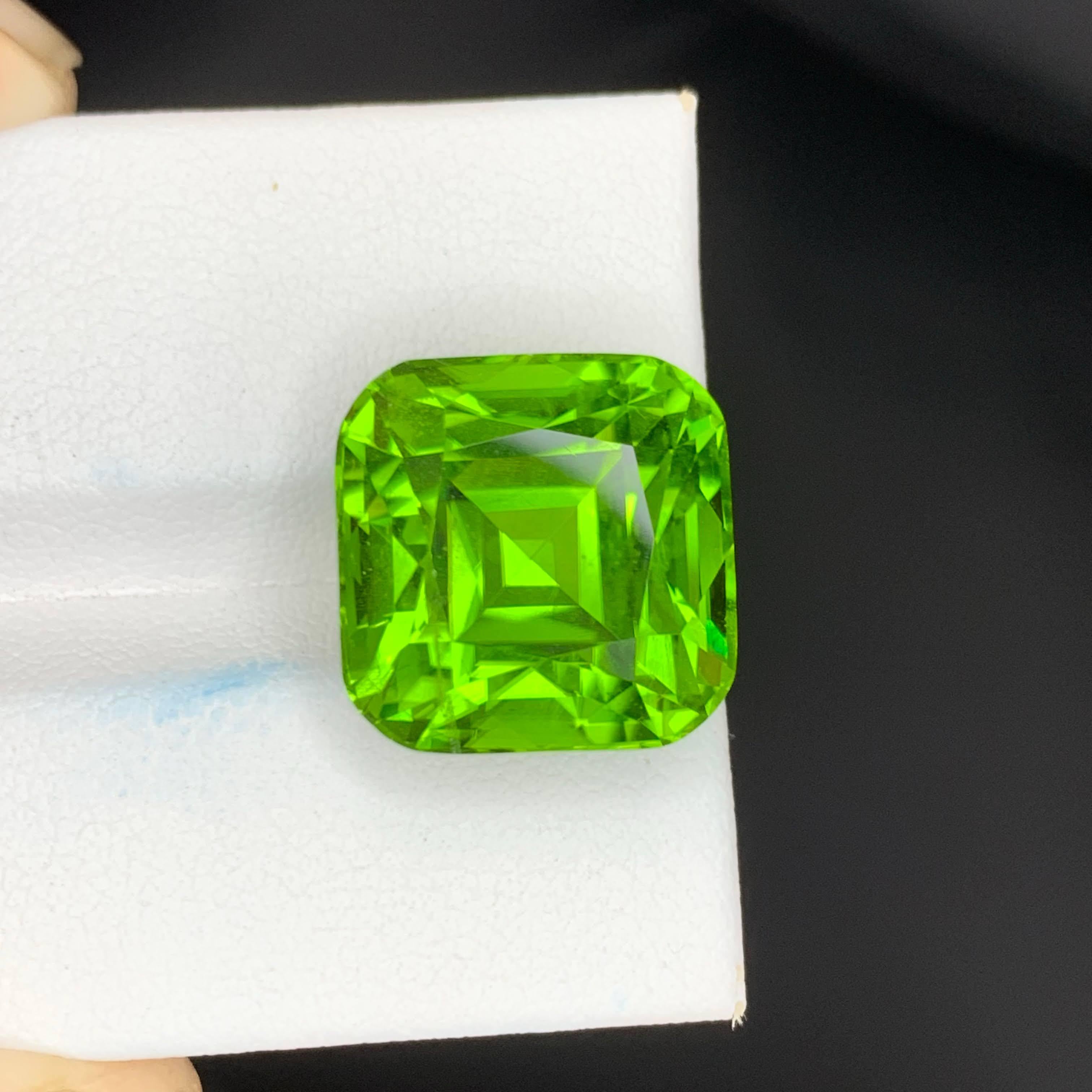 20 Karat Natürlicher Loser Apfel Grüner Peridot Stein Cushion Schliff Pakistanischer Edelstein im Angebot 3