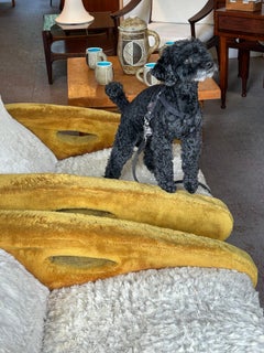 20 century circa 1955 lounge chair iconic design by François Letourneur