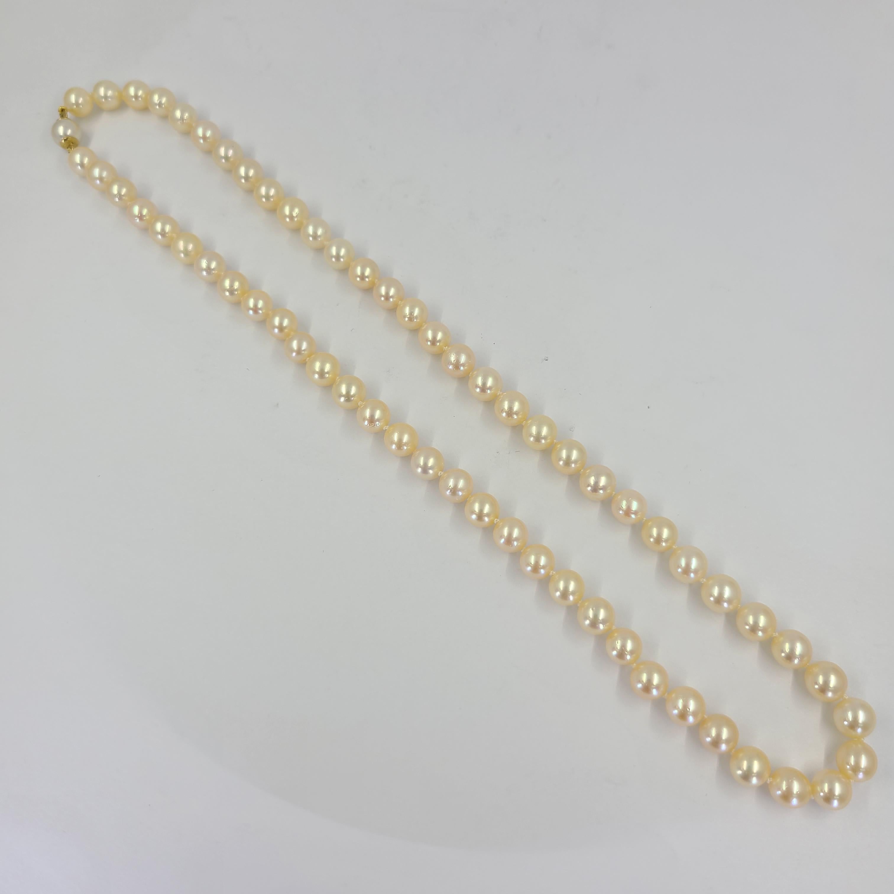 14 Karat Yellow Gold Pearl Strand Necklace Featuring 114 Cream Colored Round Cultured Pearls Measuring 8mm In Diameter. 20 Inch Length With Hidden Pearl Clasp.