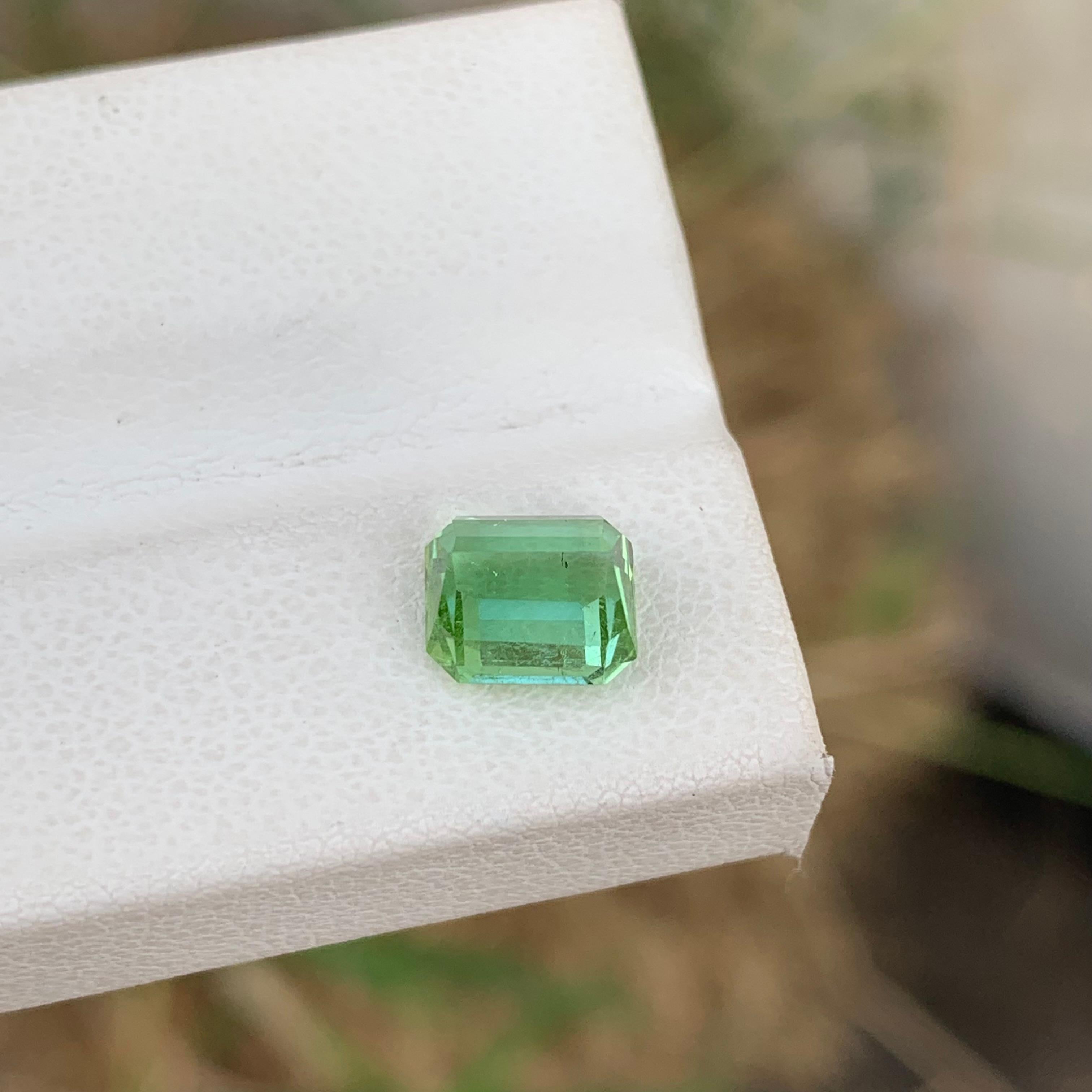 2.00 Carat Natural Loose Mint Green Tourmaline Emerald Shape Gemstone (pierre précieuse en forme d'émeraude) en vente 4