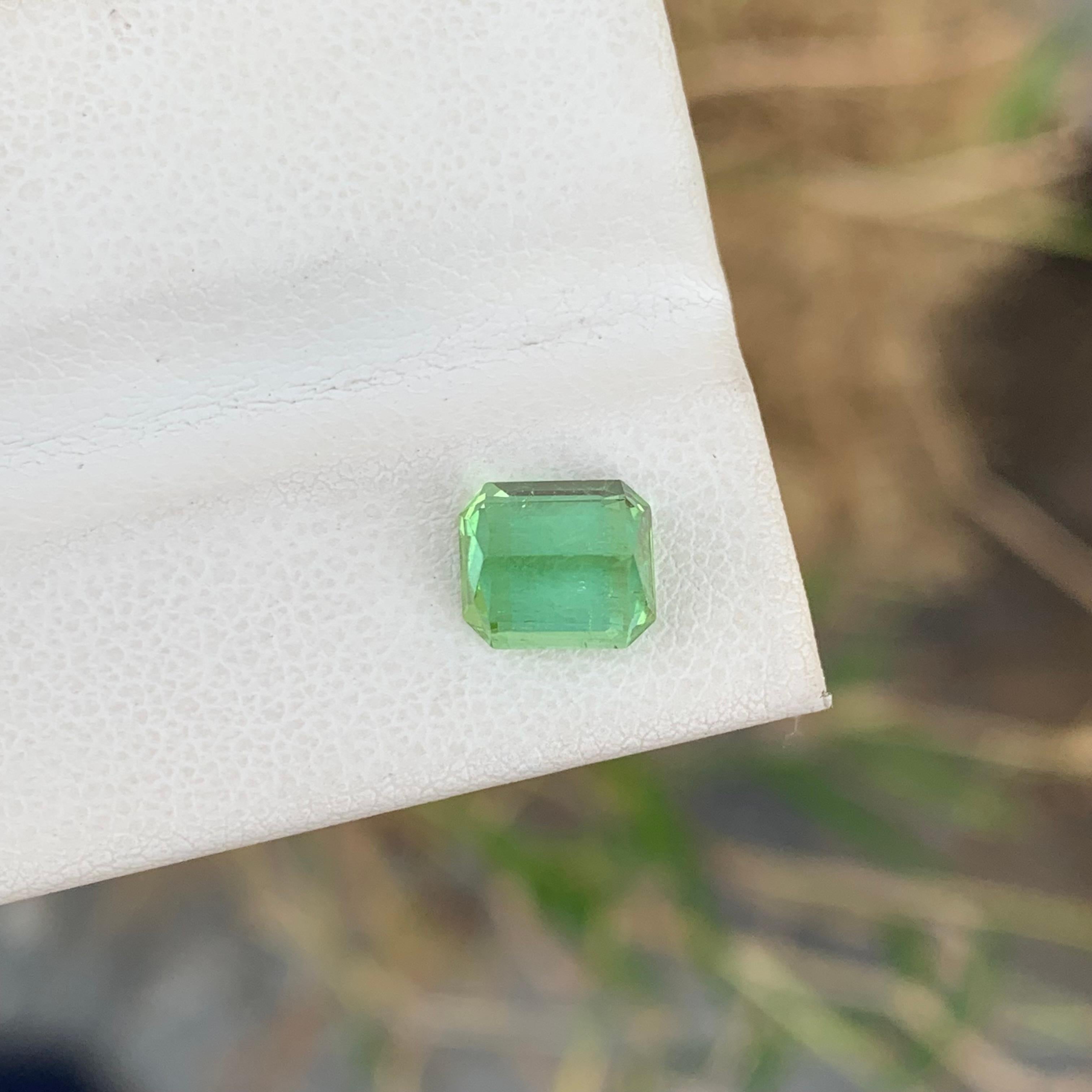 2.00 Carat Natural Loose Mint Green Tourmaline Emerald Shape Gemstone (pierre précieuse en forme d'émeraude) en vente 5