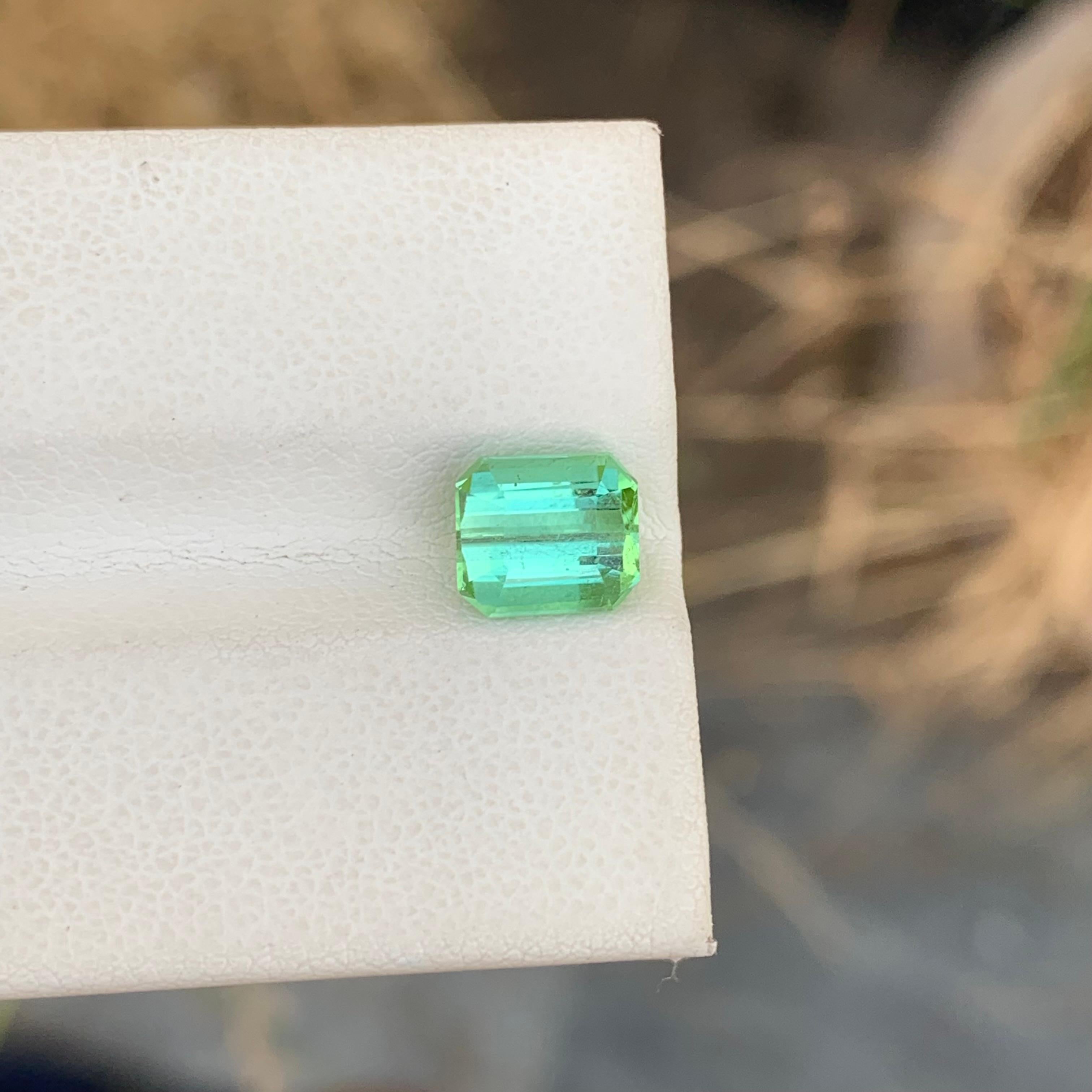 2.00 Carat Natural Loose Mint Green Tourmaline Emerald Shape Gemstone (pierre précieuse en forme d'émeraude) Neuf - En vente à Peshawar, PK