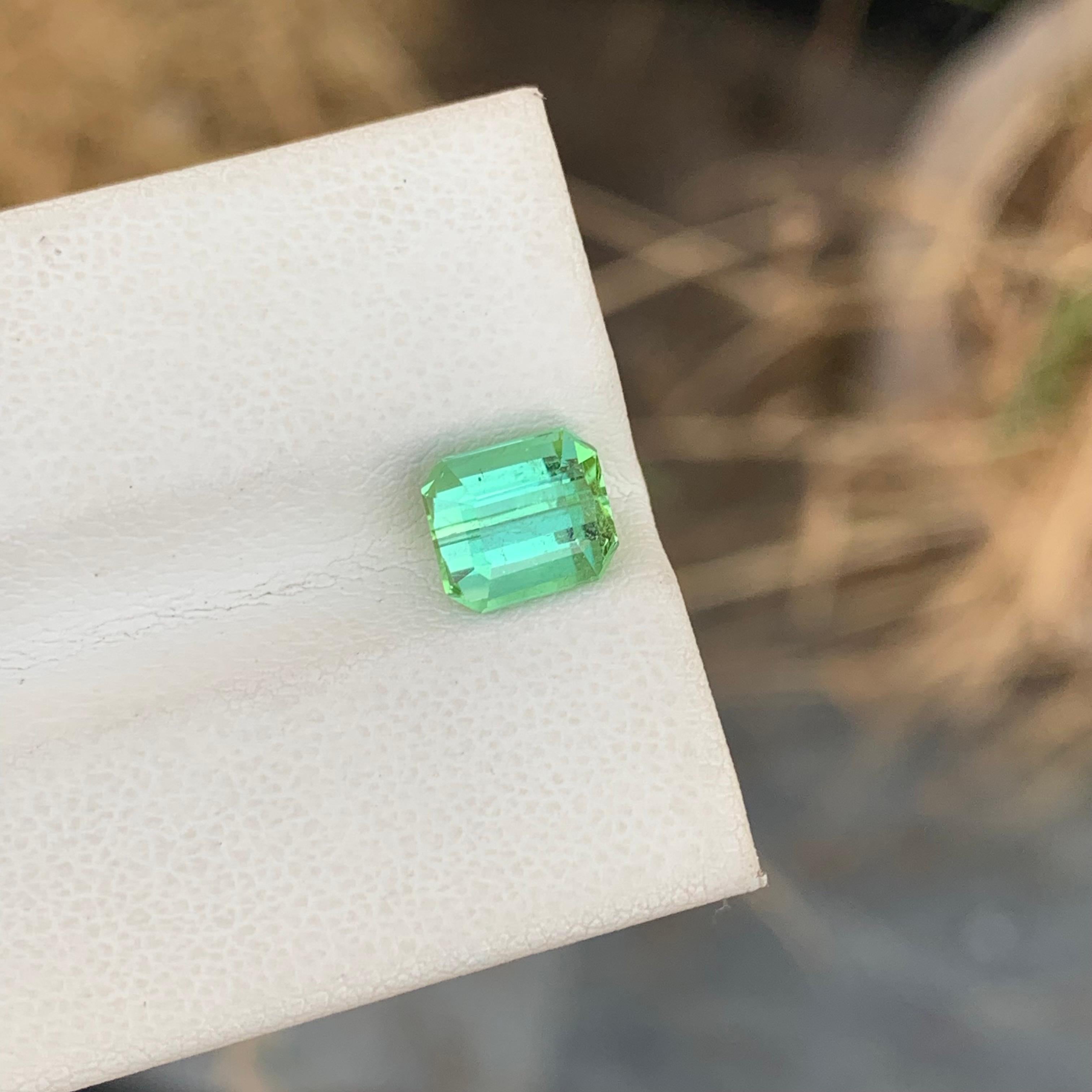 2.00 Carat Natural Loose Mint Green Tourmaline Emerald Shape Gemstone (pierre précieuse en forme d'émeraude) Unisexe en vente