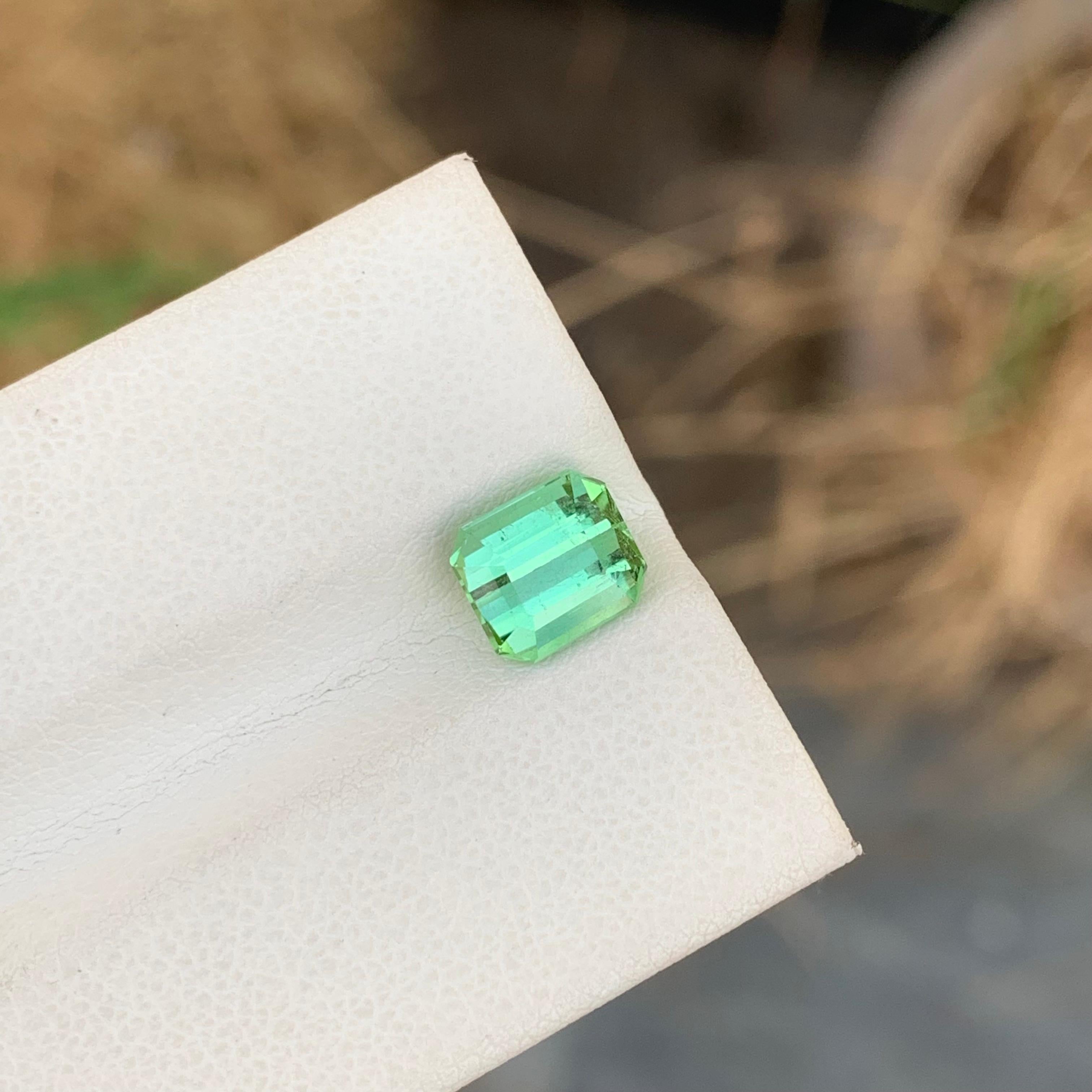 2.00 Carat Natural Loose Mint Green Tourmaline Emerald Shape Gemstone (pierre précieuse en forme d'émeraude) en vente 1