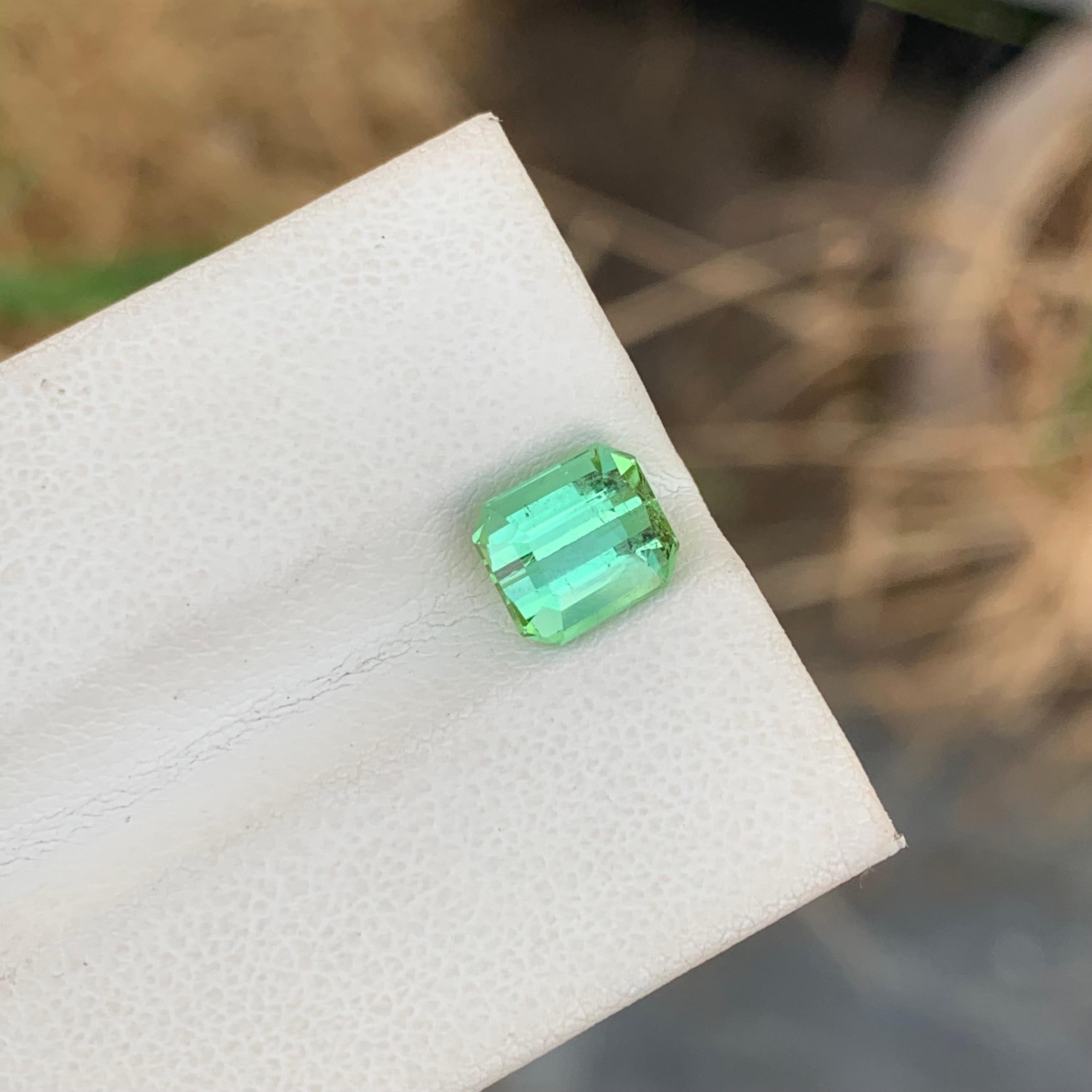 2.00 Carat Natural Loose Mint Green Tourmaline Emerald Shape Gemstone (pierre précieuse en forme d'émeraude) en vente 2