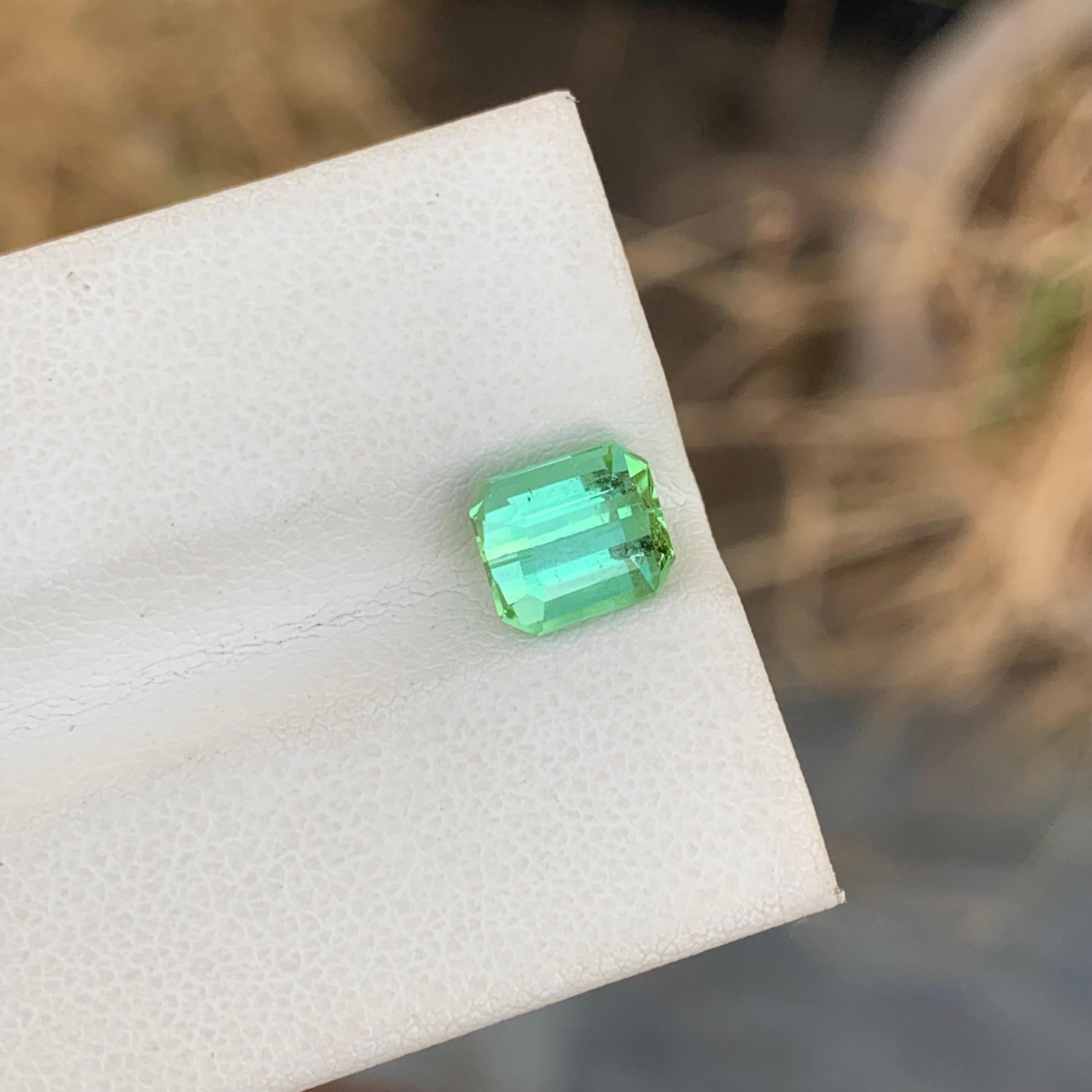 2.00 Carat Natural Loose Mint Green Tourmaline Emerald Shape Gemstone (pierre précieuse en forme d'émeraude) en vente 3