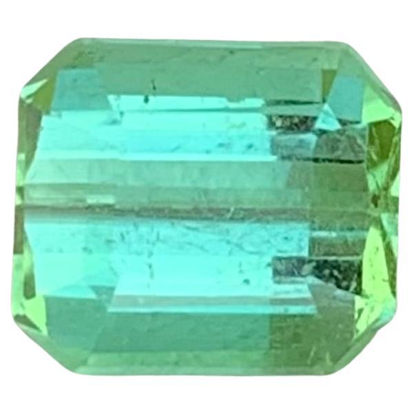 2.00 Carat Natural Loose Mint Green Tourmaline Emerald Shape Gemstone (pierre précieuse en forme d'émeraude) en vente