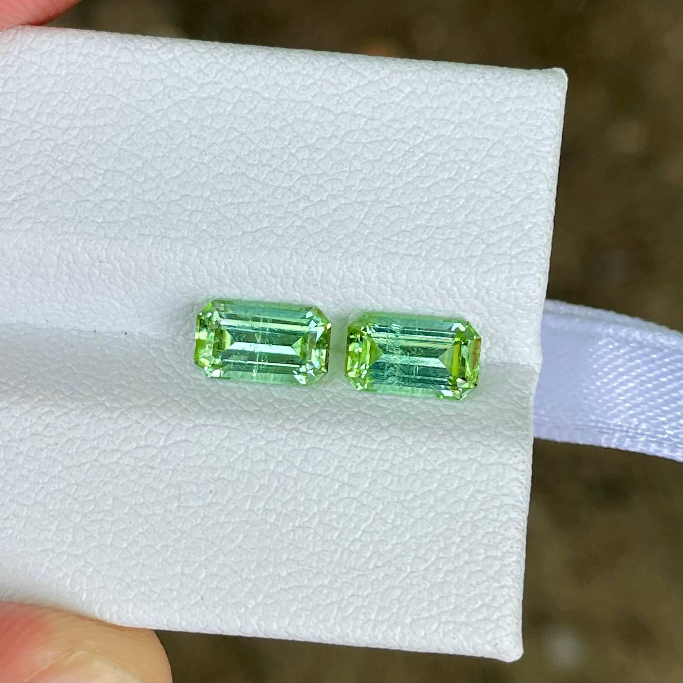 Poids 2,00 carats 
Dimensions 7,5x4,5x3,6 mm
Traitement aucun 
Origine Afghanistan 
Clarity SI 
Forme octogonale 
Taille émeraude 



La paire de pierres en tourmaline verte claire de 2,00 carats, méticuleusement taillée en forme d'émeraude, est un