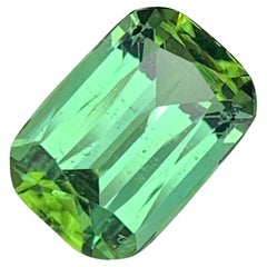 2,00 Carati di tormalina naturale sfusa di colore verde bluastro Gemma