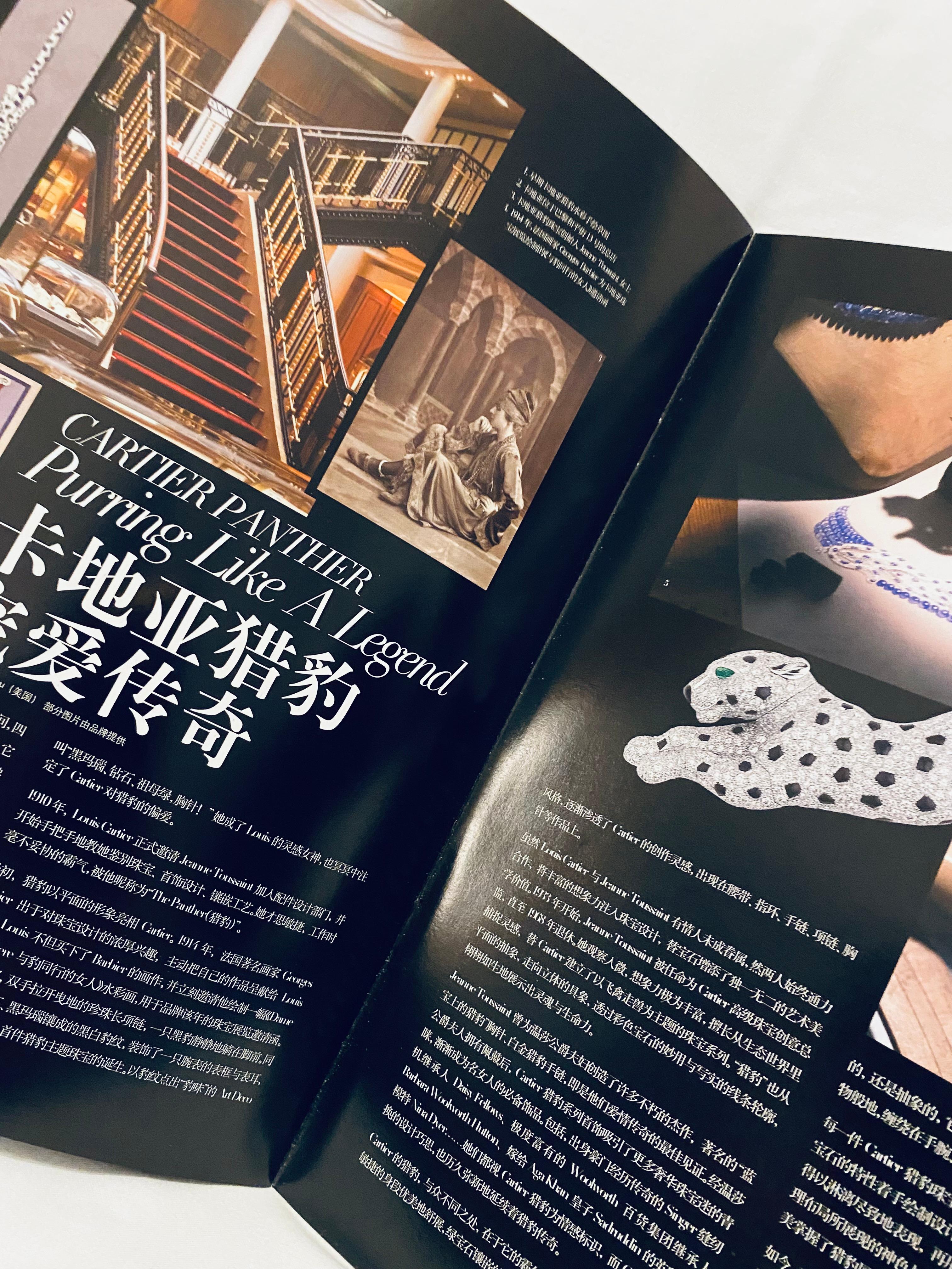 Marrone Anni 2000 Cartier Hong Kong Gioielli Panther Catalogo Lookbook in vendita