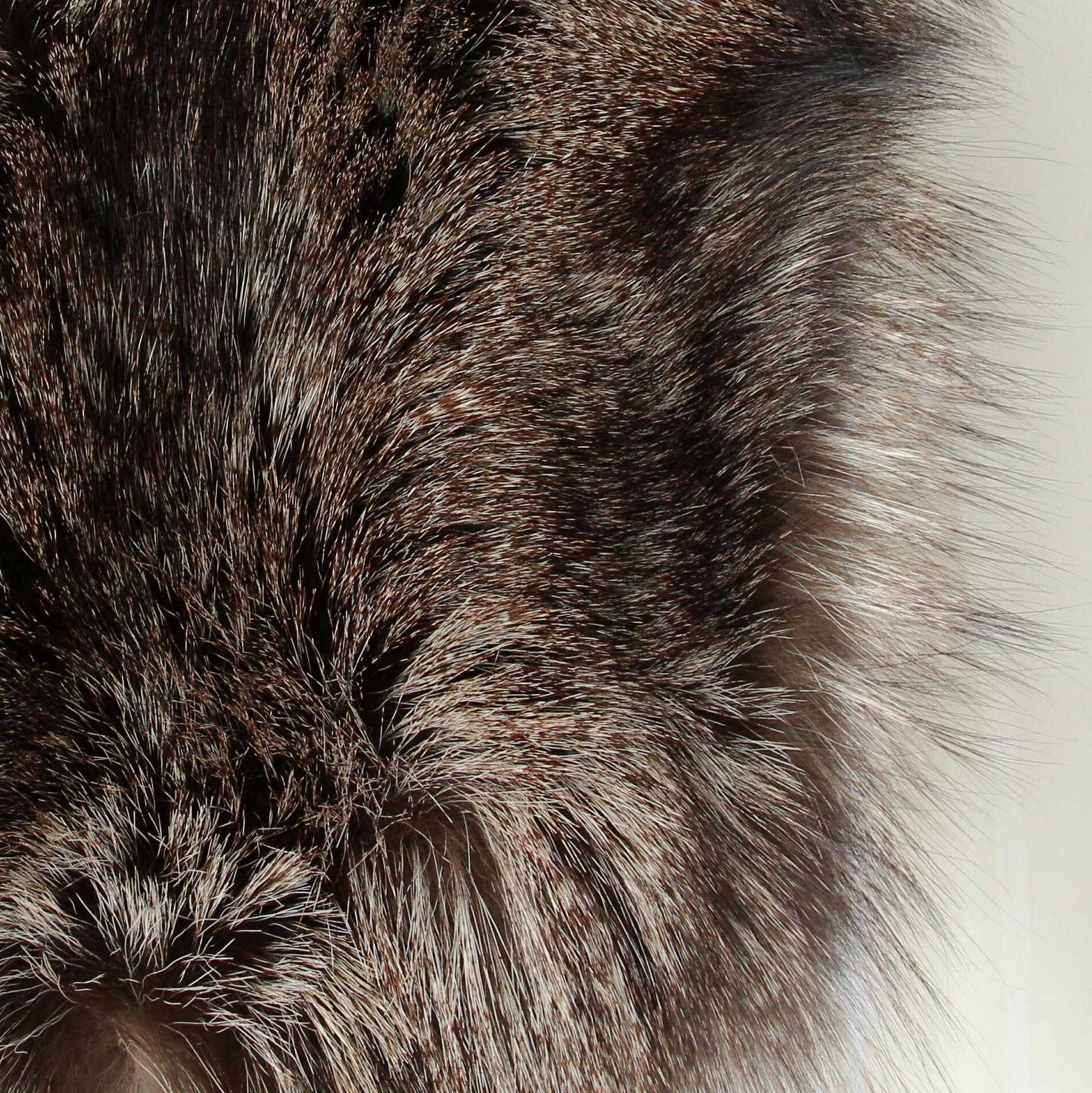 Black 2000s Gianfranco Ferrè Silver Fox And Feathers Fur Scarf For Sale