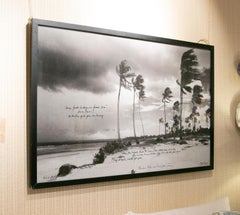 2000s Photo by the Artist Alexis De Villar of a Beach with Palms in Tanzania
