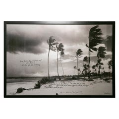 Foto degli anni 2000 dell
artista Alexis De Villar di una spiaggia con palme in Tanzania