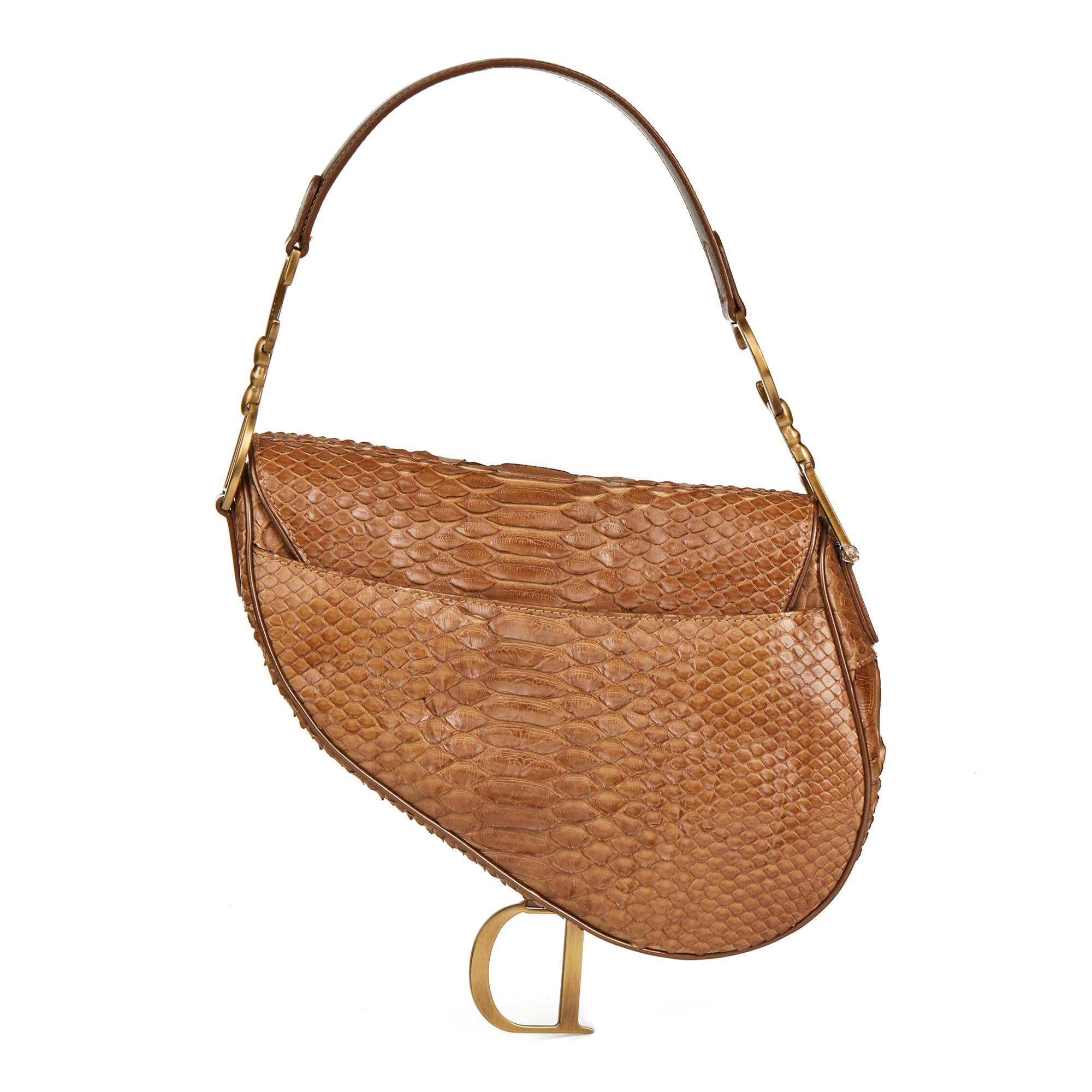 dior python saddle bag