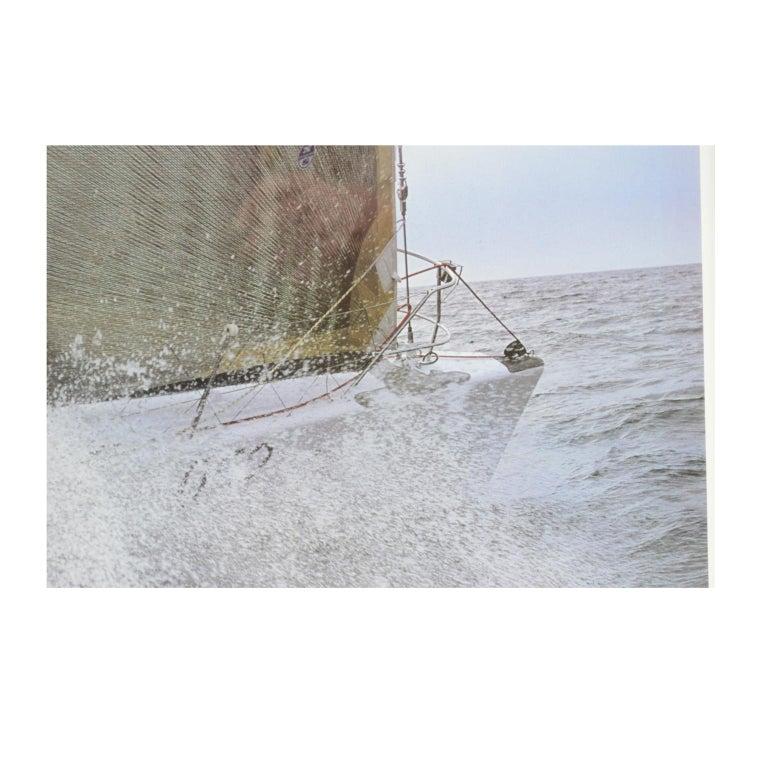 2001 Lithographie eines Rennpferdeschiffes mit einem Foto von Daniel Forster Gotlant Rant im Zustand „Gut“ im Angebot in Milan, IT