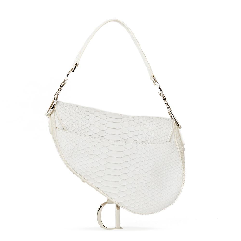 dior python saddle bag