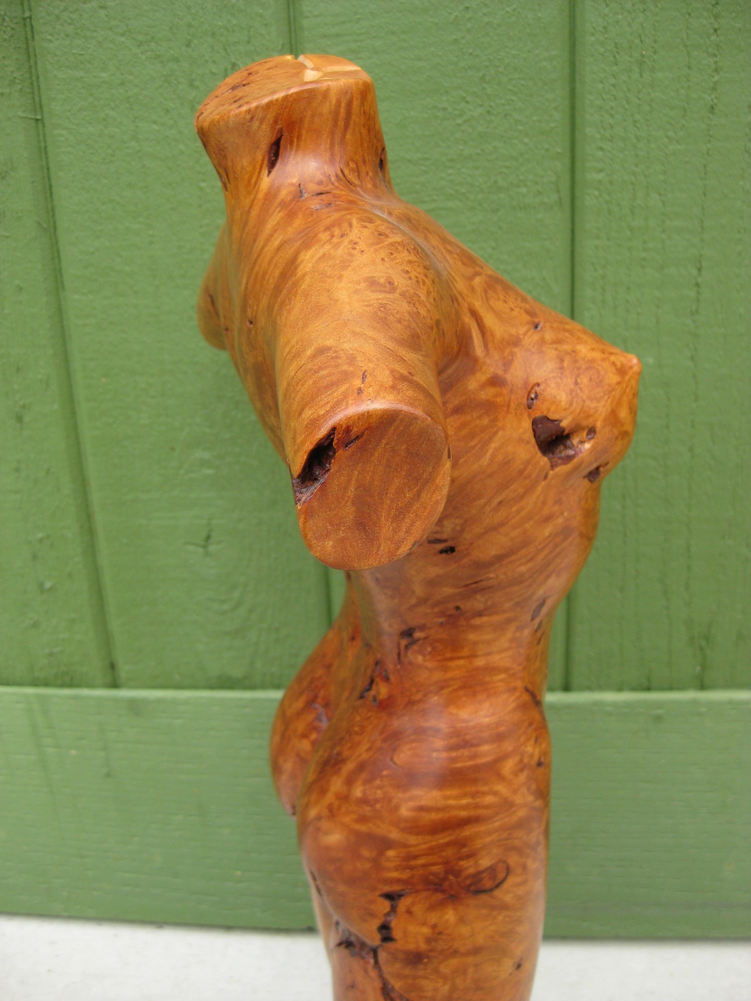 2003 Torso di donna nuda con busto in legno di radica scolpito da Alexandria 19 1/2