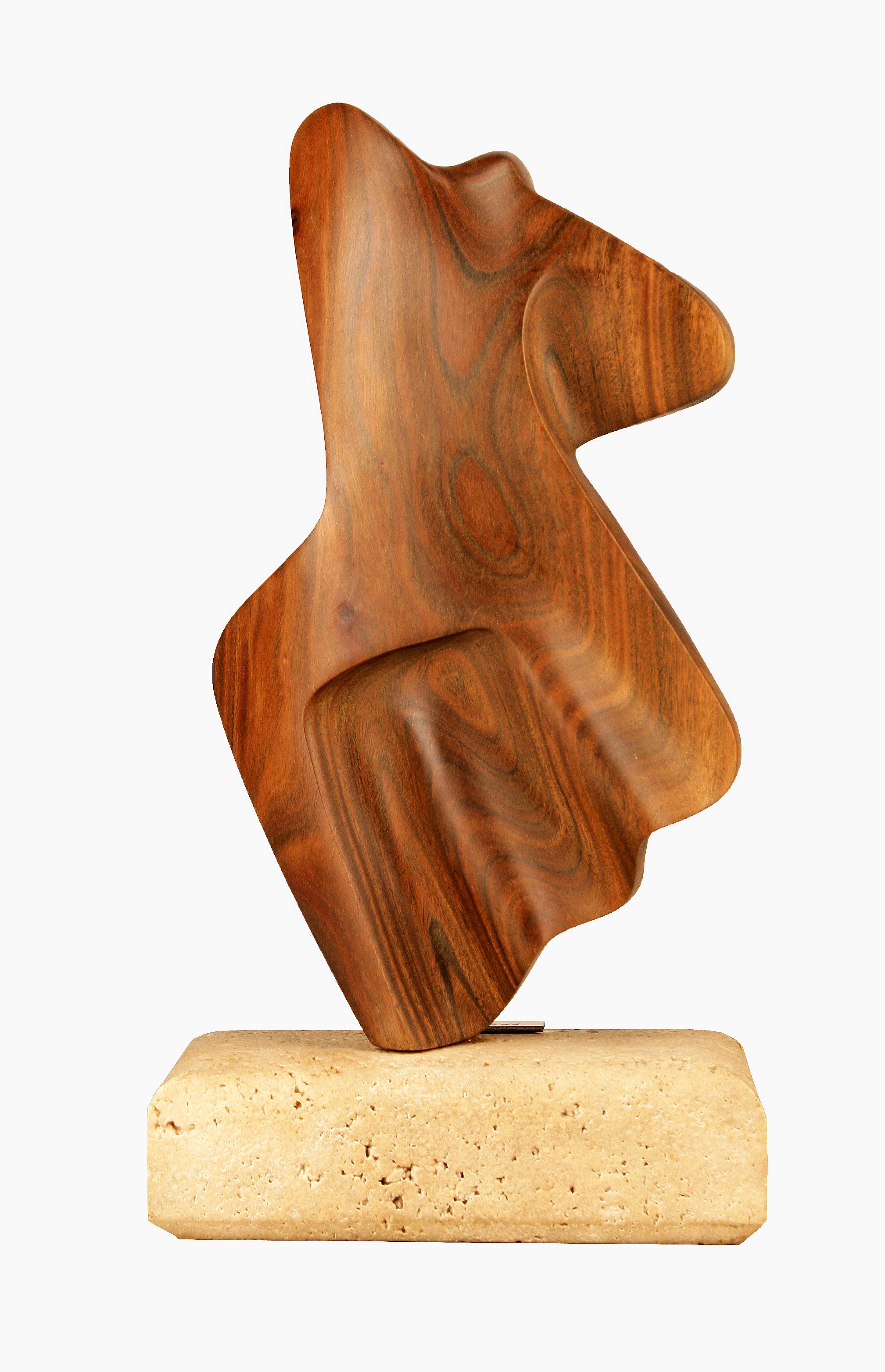 Carved 2004 Argentine Biomorphic Wood and Stone Abstract Sculpture by Fabriciano Gómez For Sale
