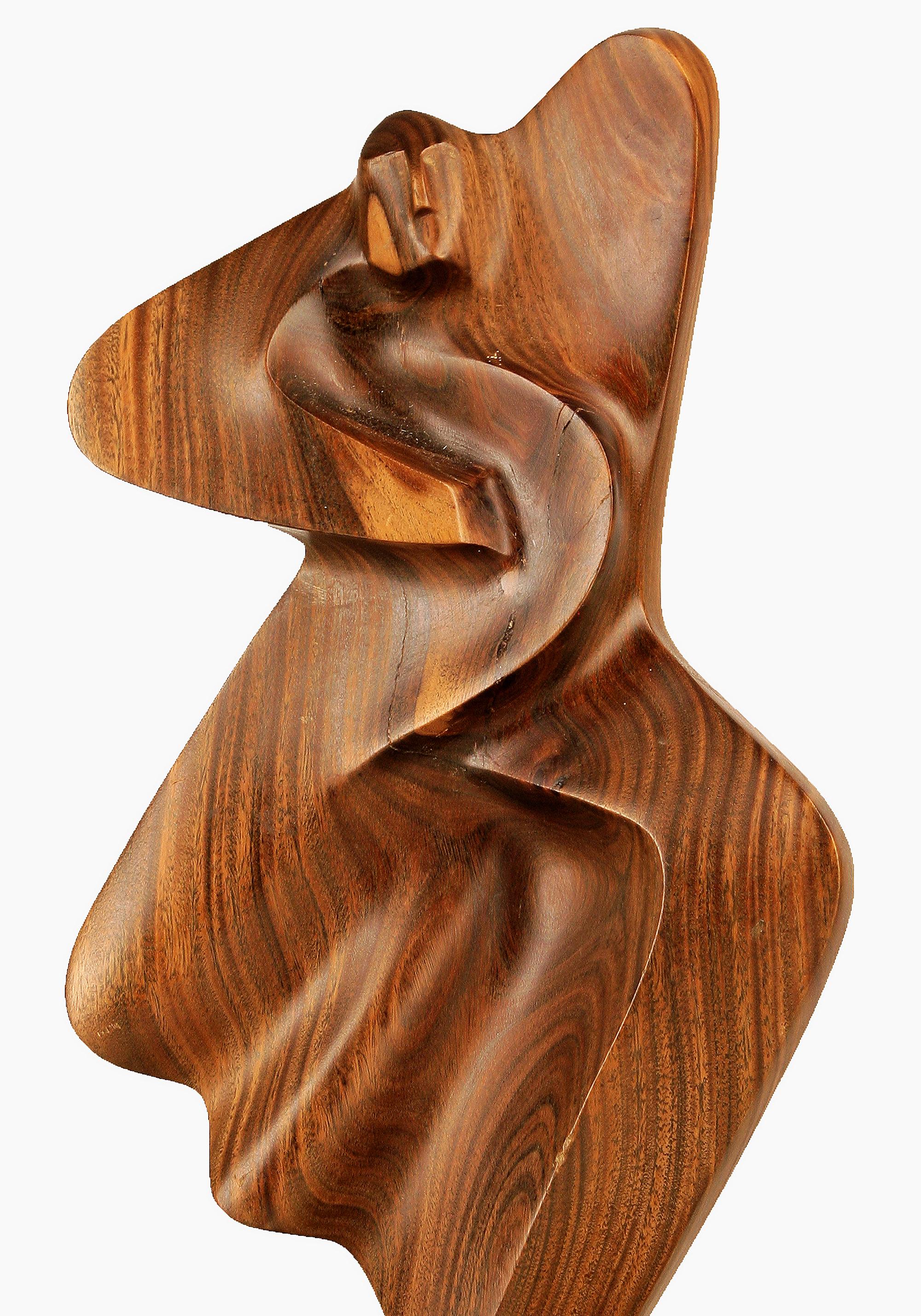 Metal 2004 Argentine Biomorphic Wood and Stone Abstract Sculpture by Fabriciano Gómez For Sale