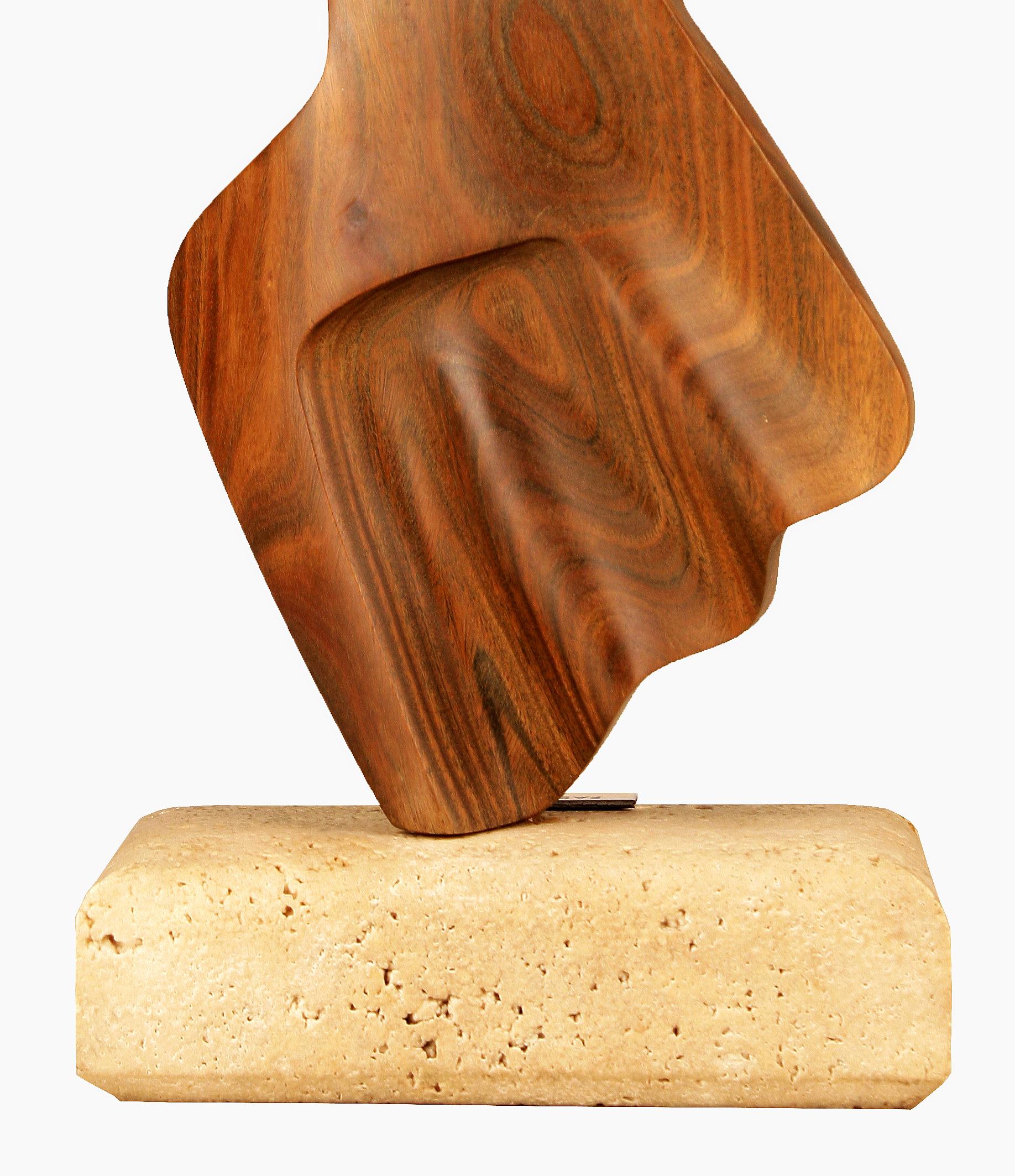 2004 Argentine Biomorphic Wood and Stone Abstract Sculpture by Fabriciano Gómez For Sale 1
